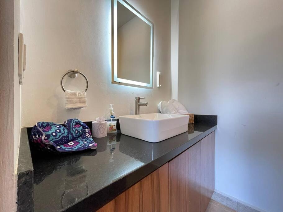 Caracol Garden In Forest Nook Apartment