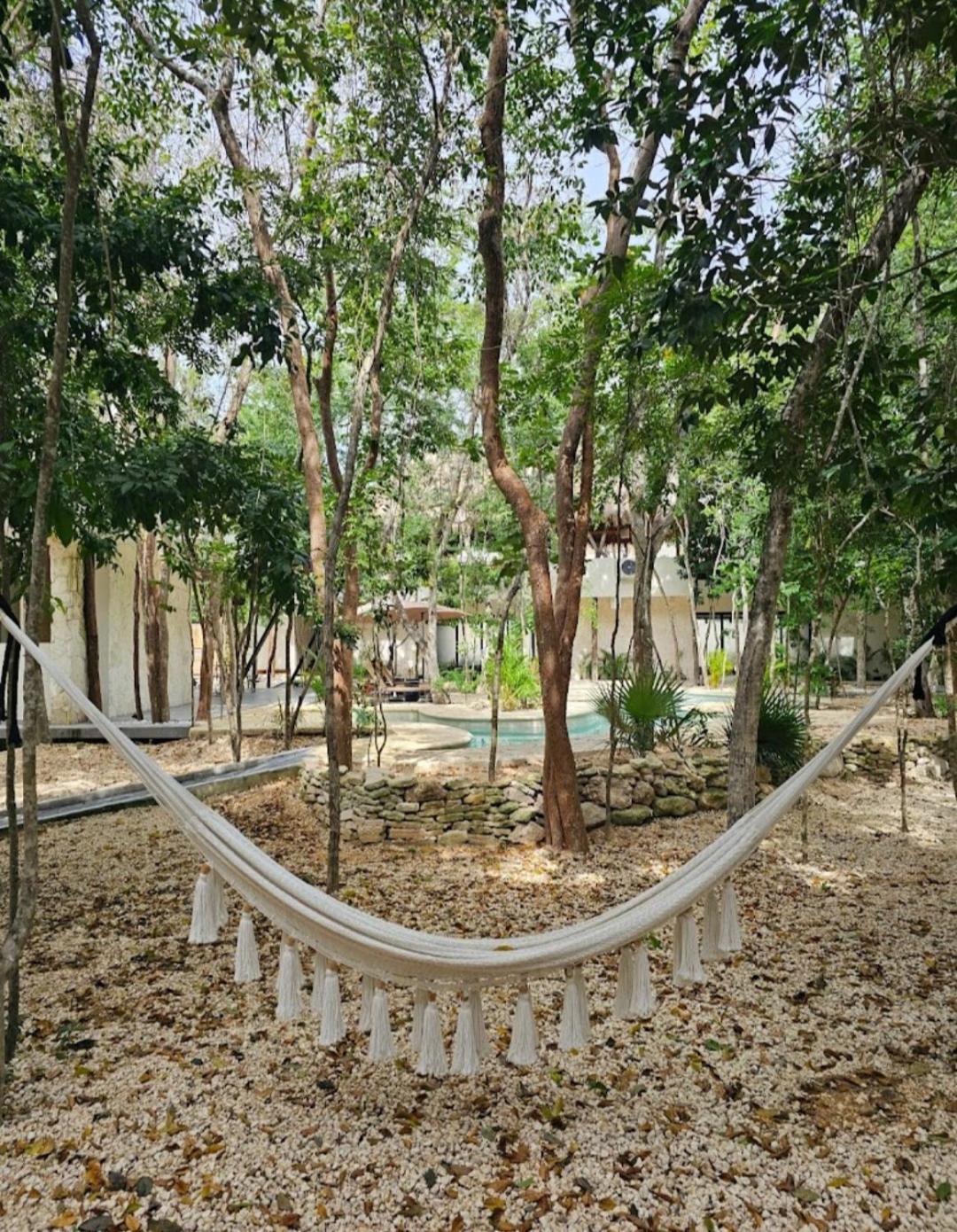 Jungle Oasis Studio: Beachside Retreat With Pool And Amenities *