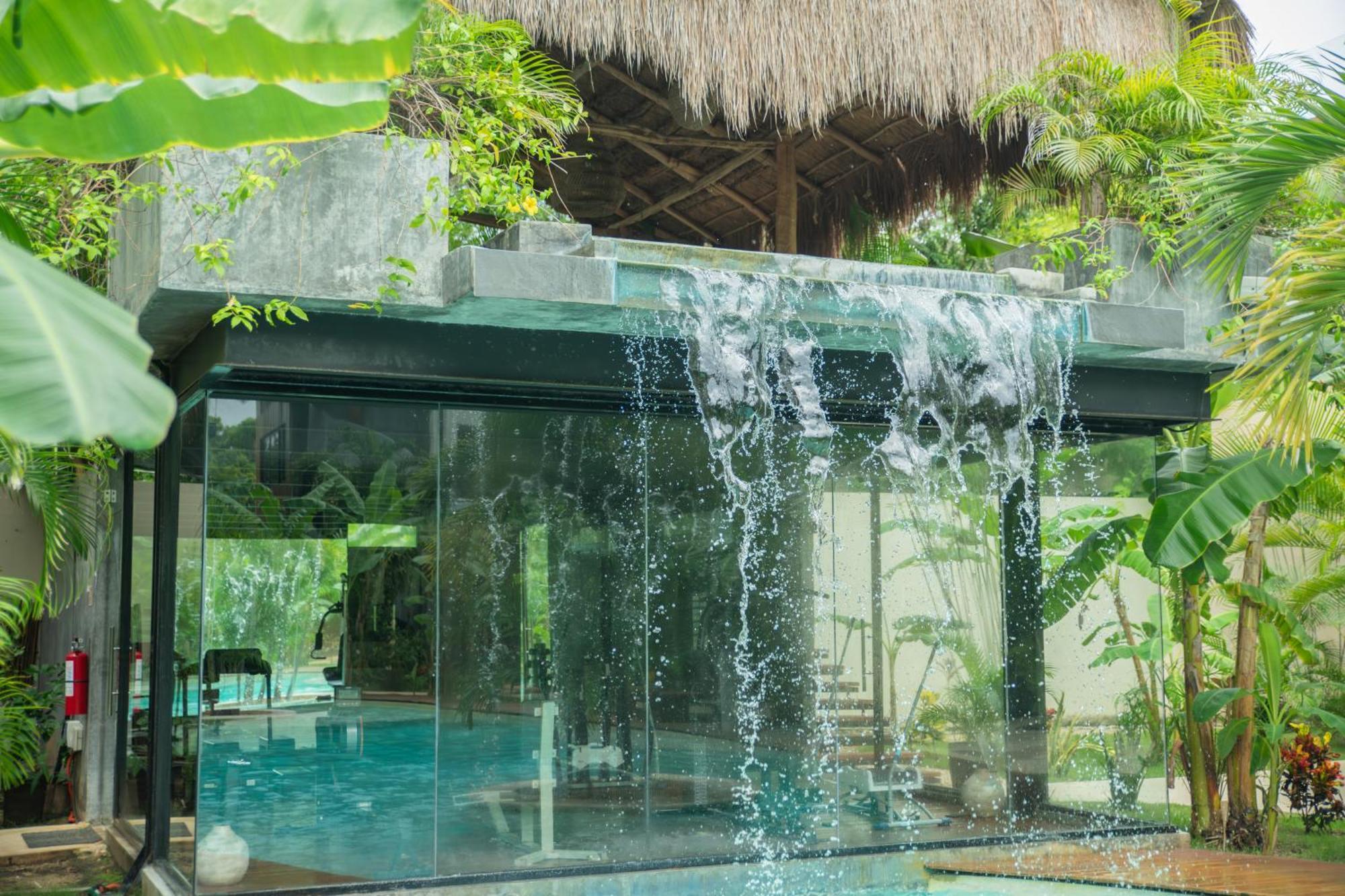 Aparthotel Xp By Dream Vacay