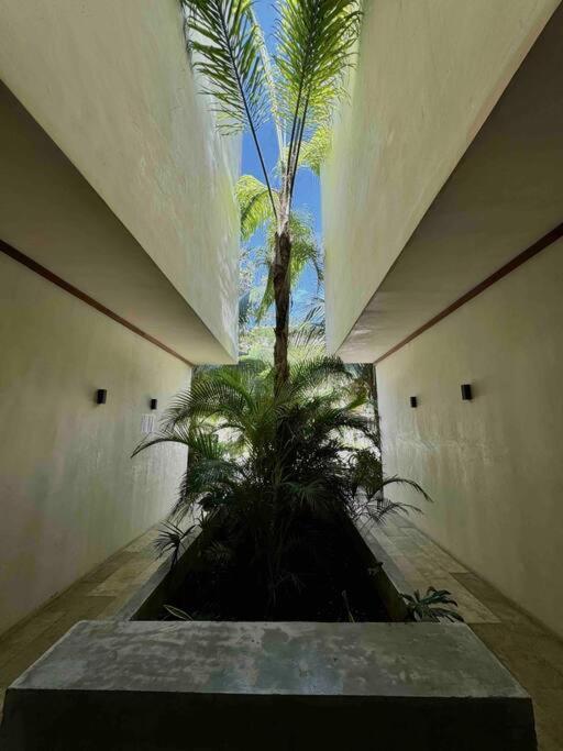 Stunning 2 Bd Ph W Private Pool Apartment *