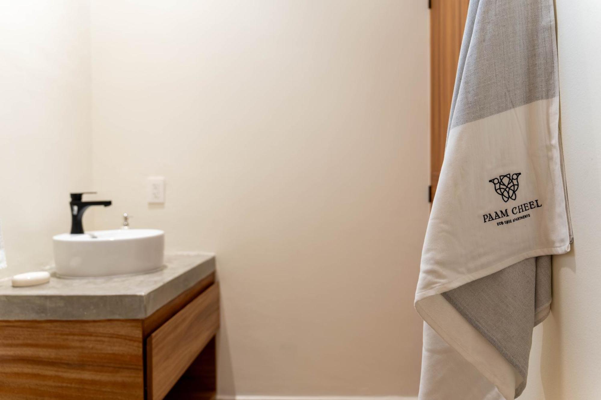 New Luxury With Plunge Pool Apartment