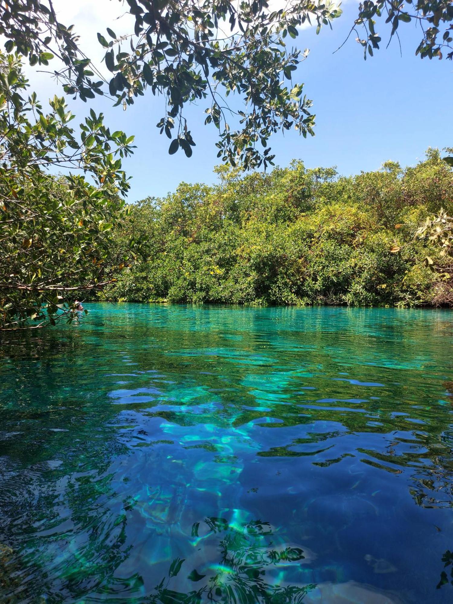 Hermoso Penthouse En Aldea Zama 3bedromm *