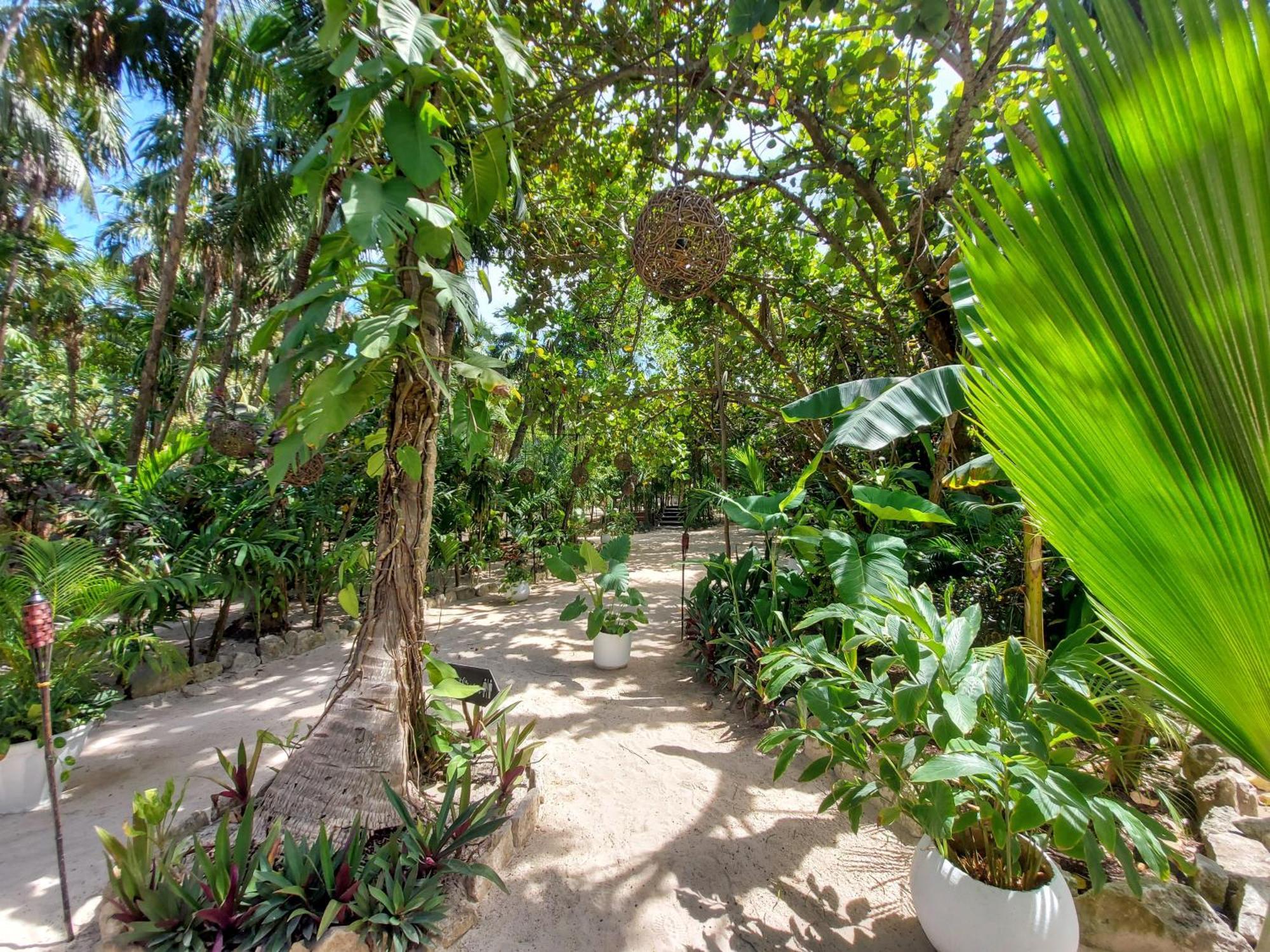 Apartment Hermoso Penthouse En Aldea Zama 3bedromm *