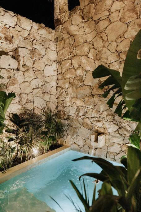 Design Casa Sandalo With Private Pool And Lounge Apartamento Tulum