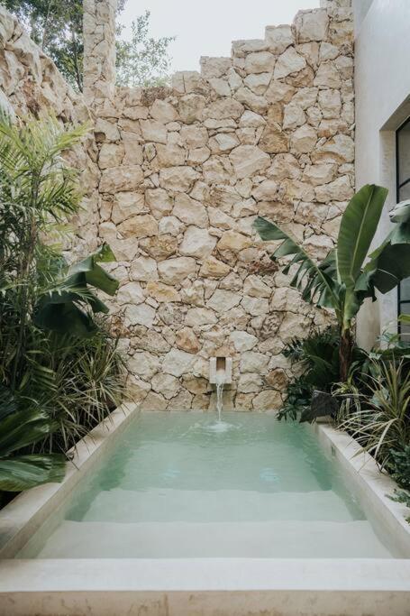 Design Casa Sandalo With Private Pool And Lounge Apartamento Tulum