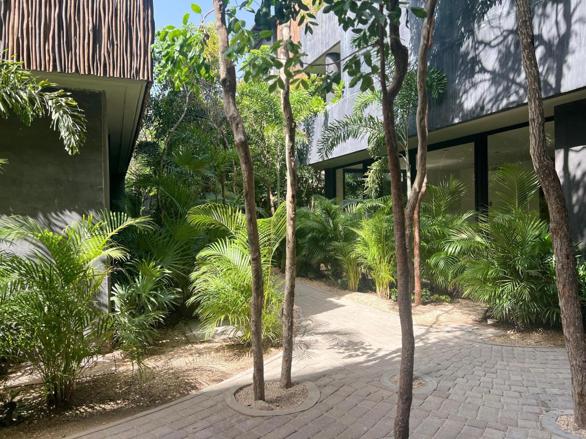 Humana In Apartment Tulum