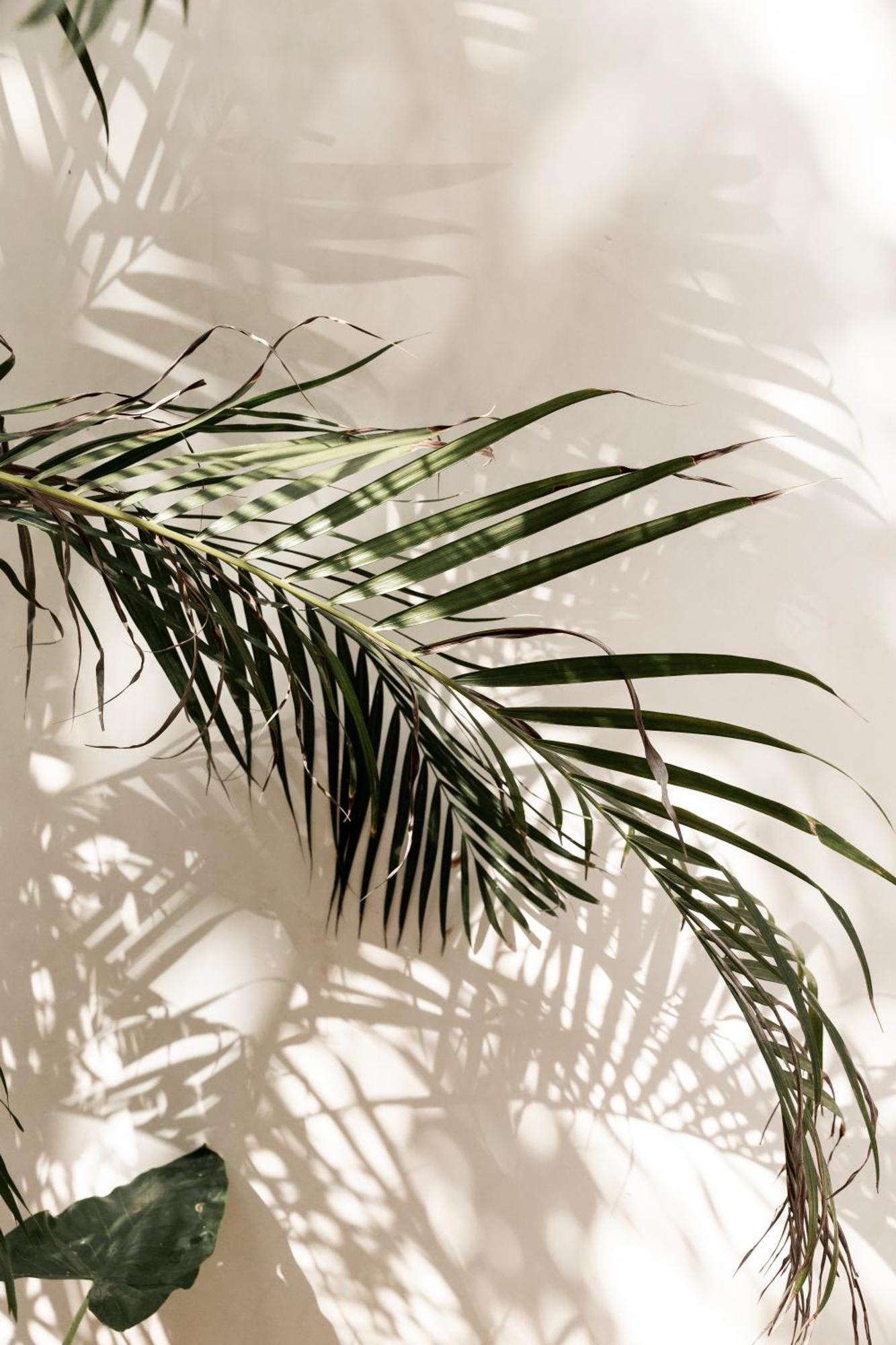 Arba Ii, Aldea Zama, With Private Plunge Pool Apartment *