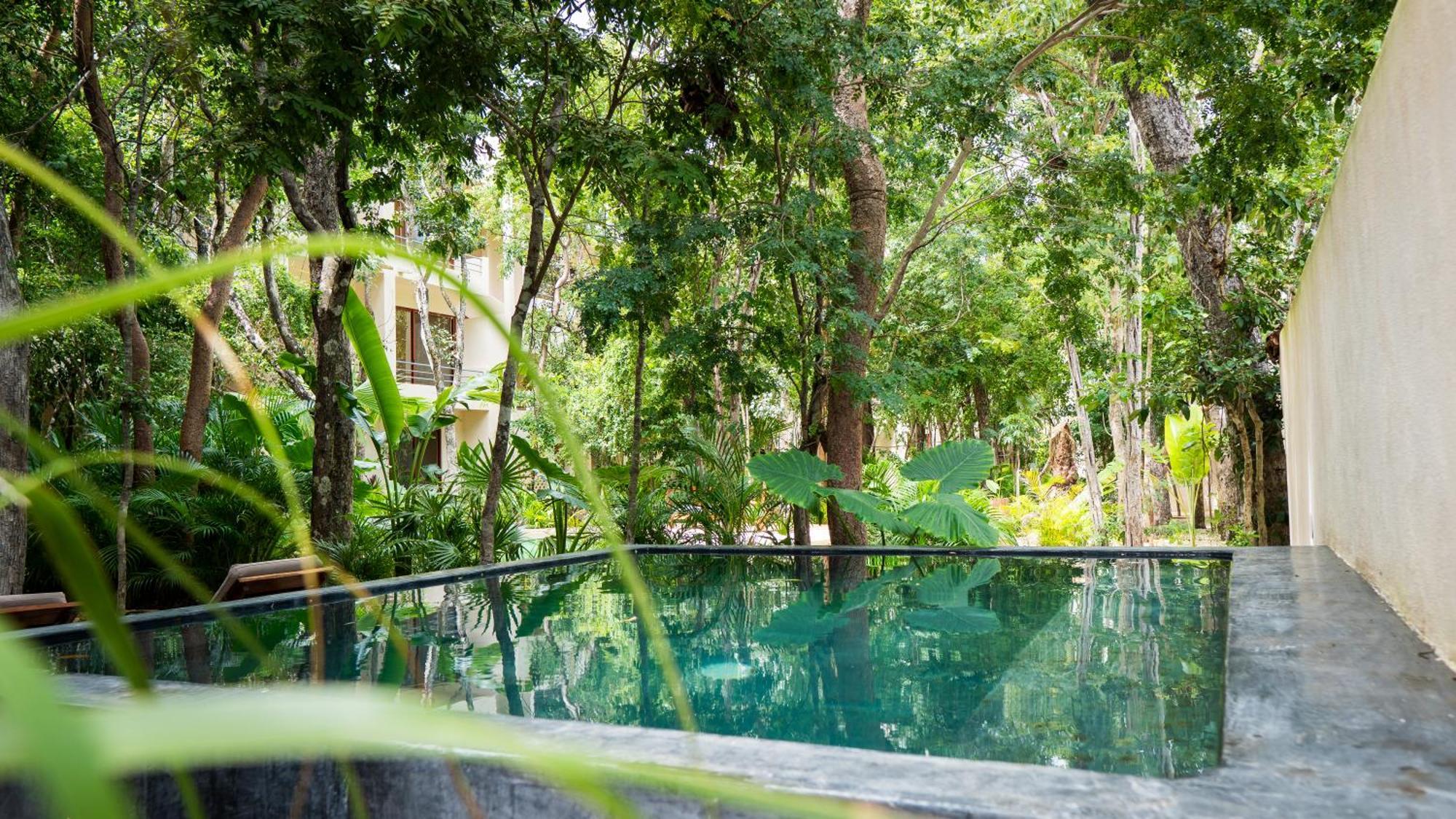 Tipg New With Private Pool 8 Guests Apartment