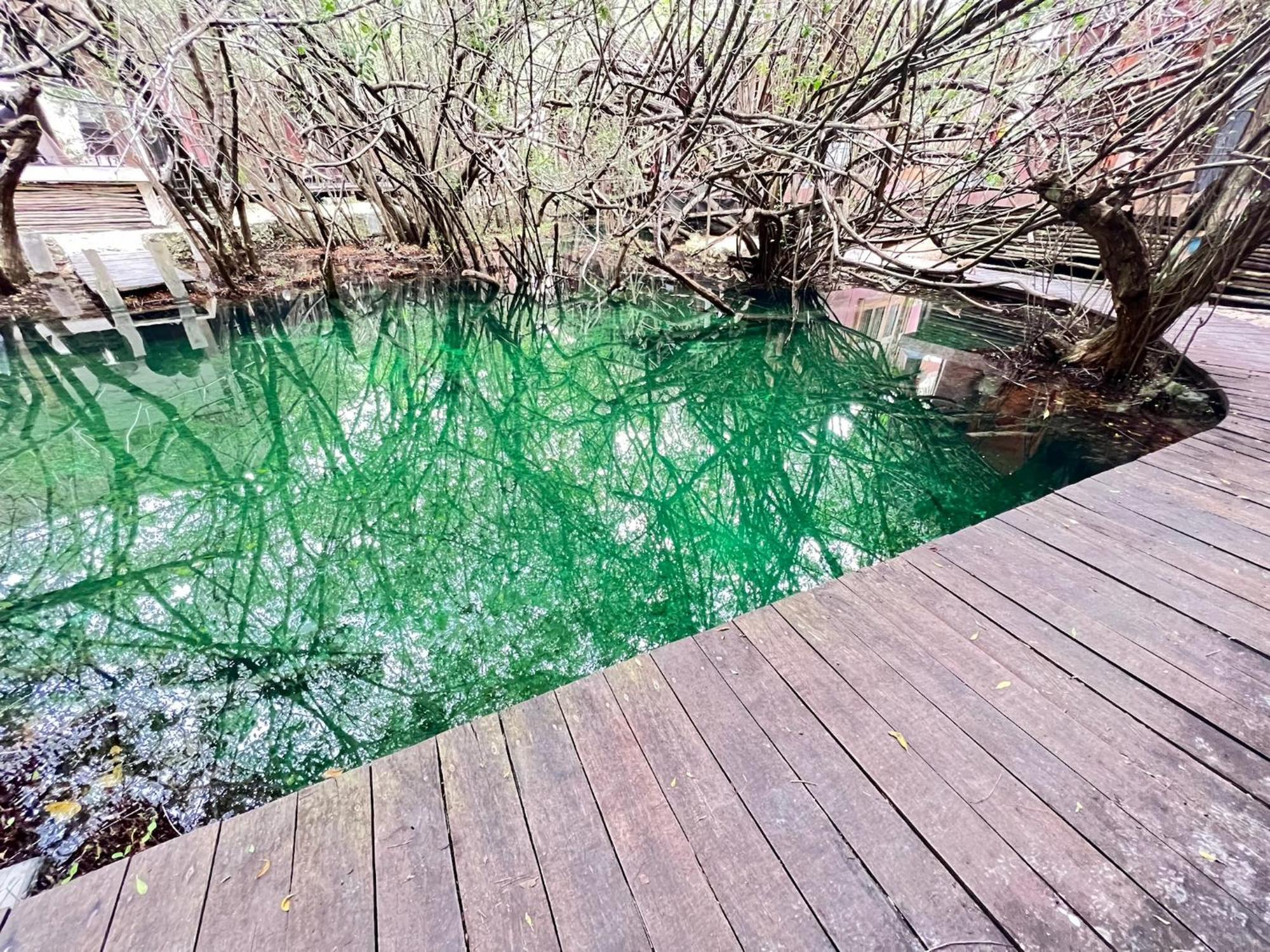 Hotel Caiman Habitat 5*