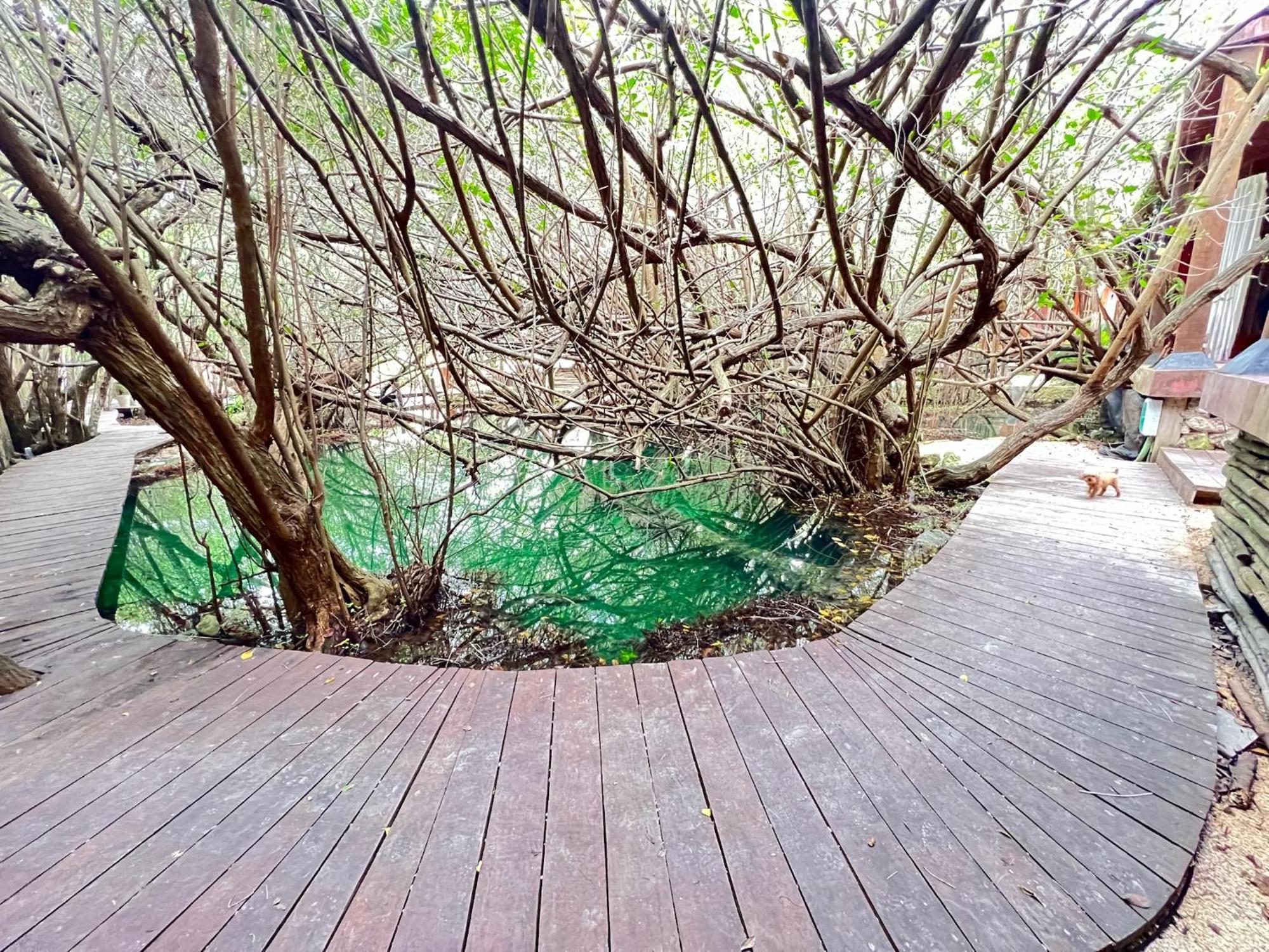 Hotel Caiman Habitat