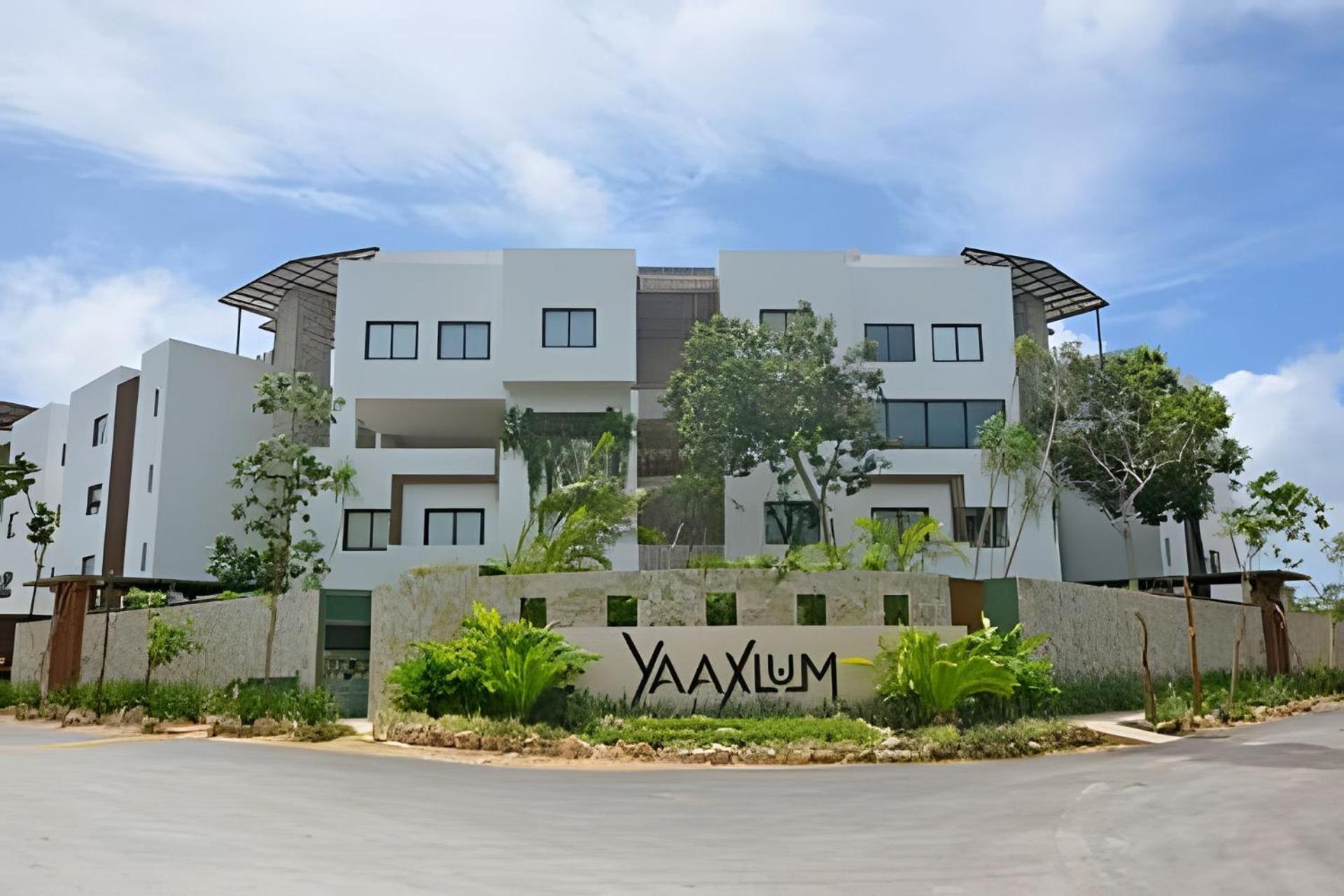Oasis Yaaxlum