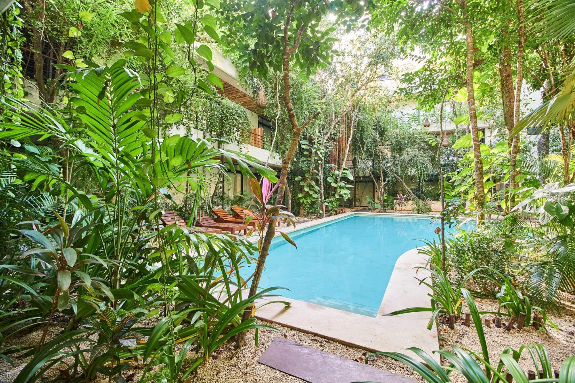Apartment Jungle Penthouse With Private Rooftop Pool In La Veleta Tulum
