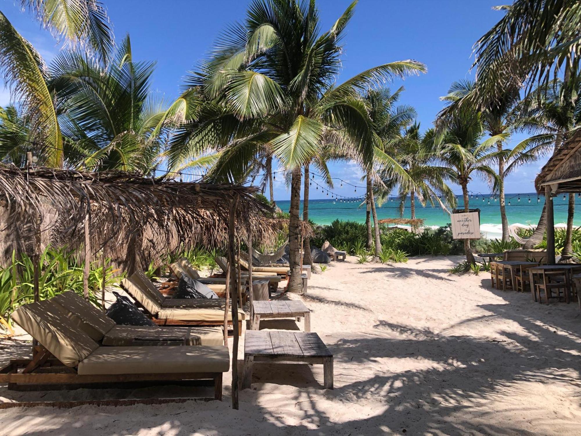Jungle Penthouse With Private Rooftop Pool In La Veleta Tulum