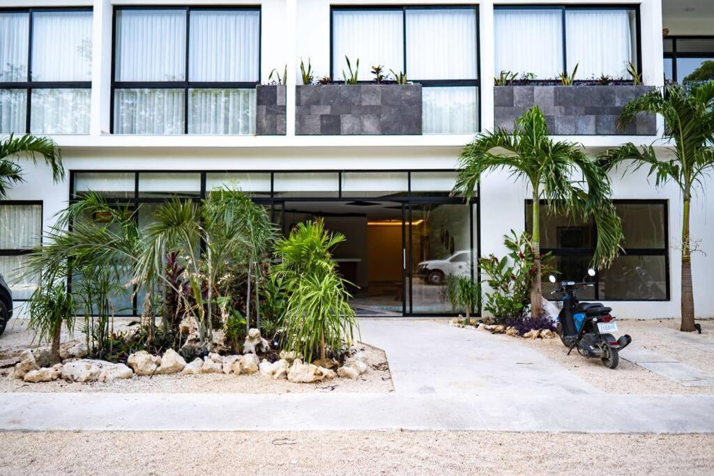 Level With Minifridge Microwave And Splash Pool * Tulum