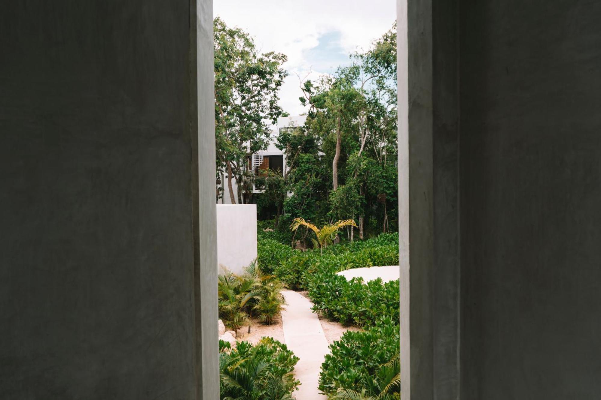 Seremonia Selva By Dream Vacay Apartment Tulum