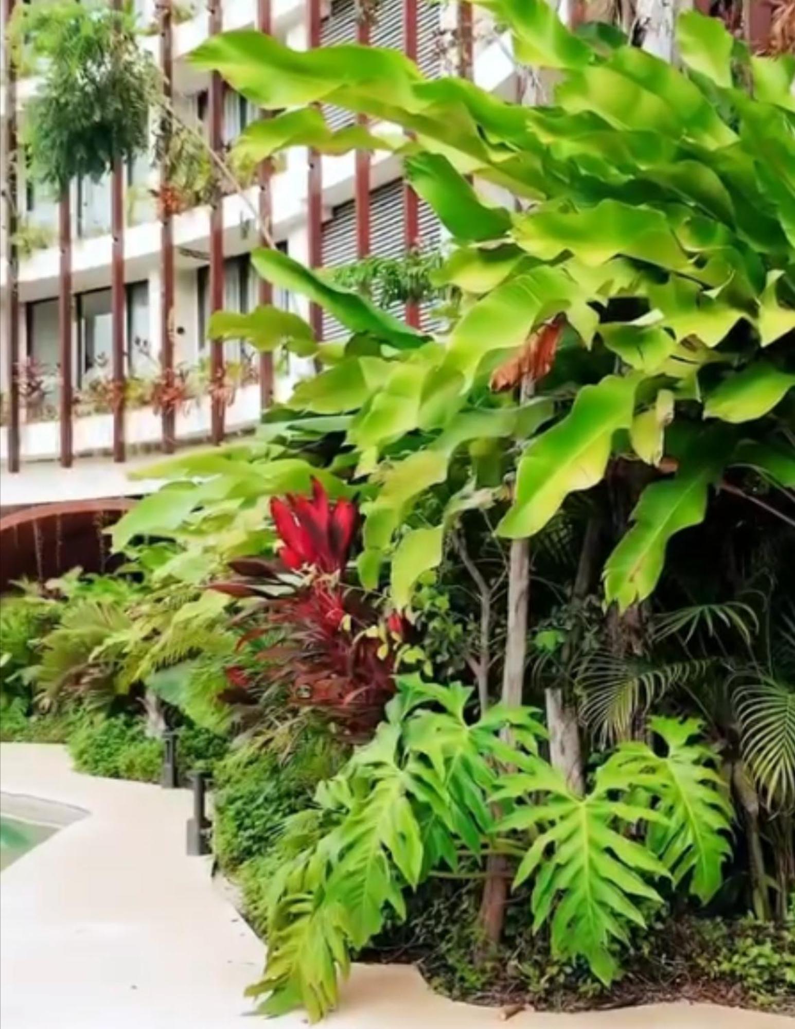 Ixmali, Jungle Avec Vue Proche De La Apartment *