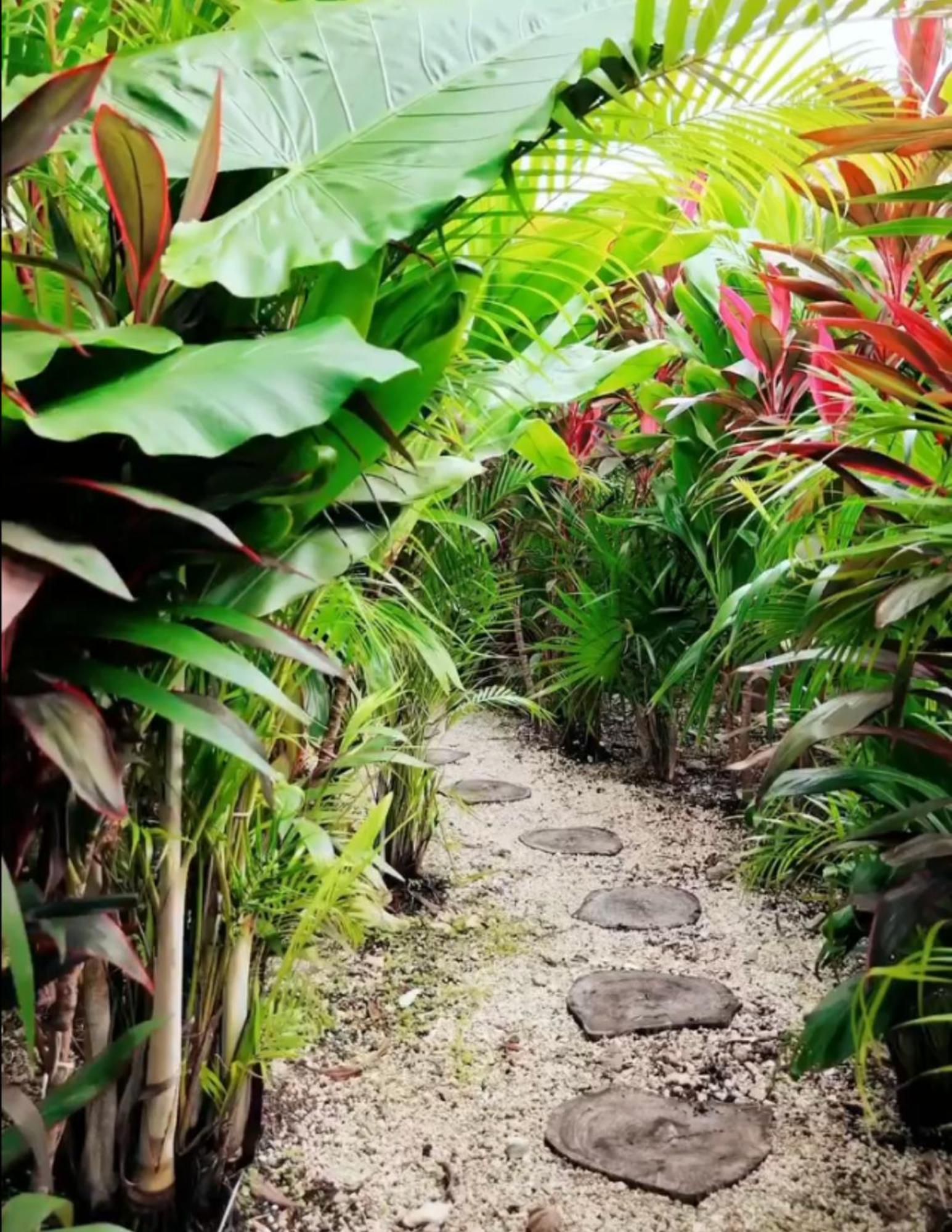 Ixmali, Jungle Avec Vue Proche De La Tulum