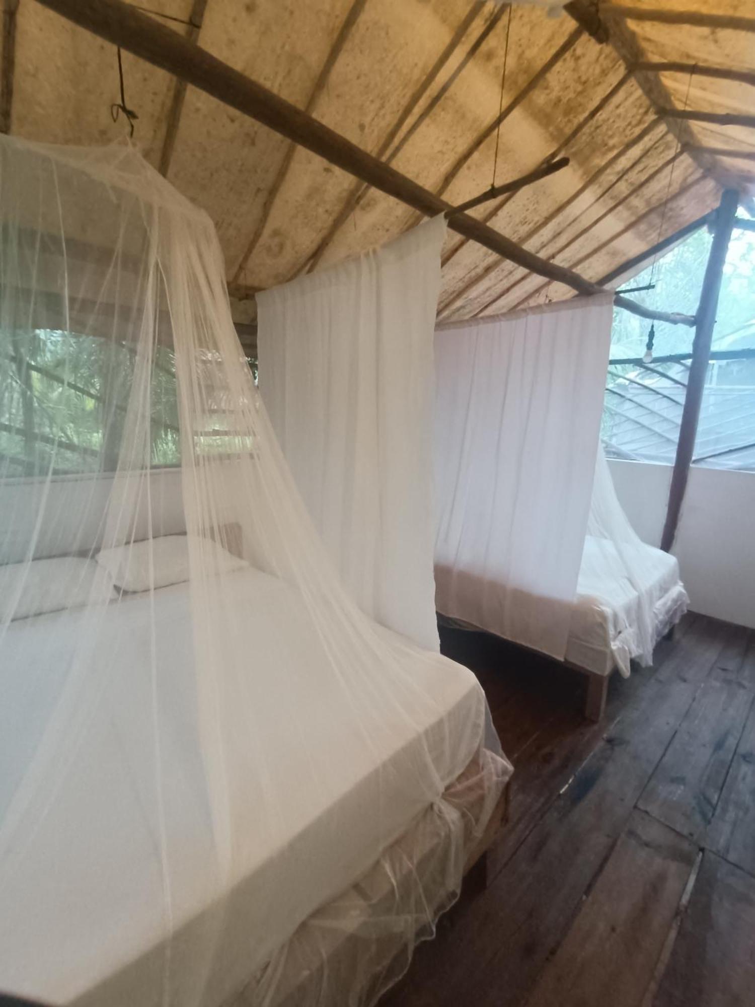 Zapote En Rancho Jaguares Jungle Retreat Campsite *