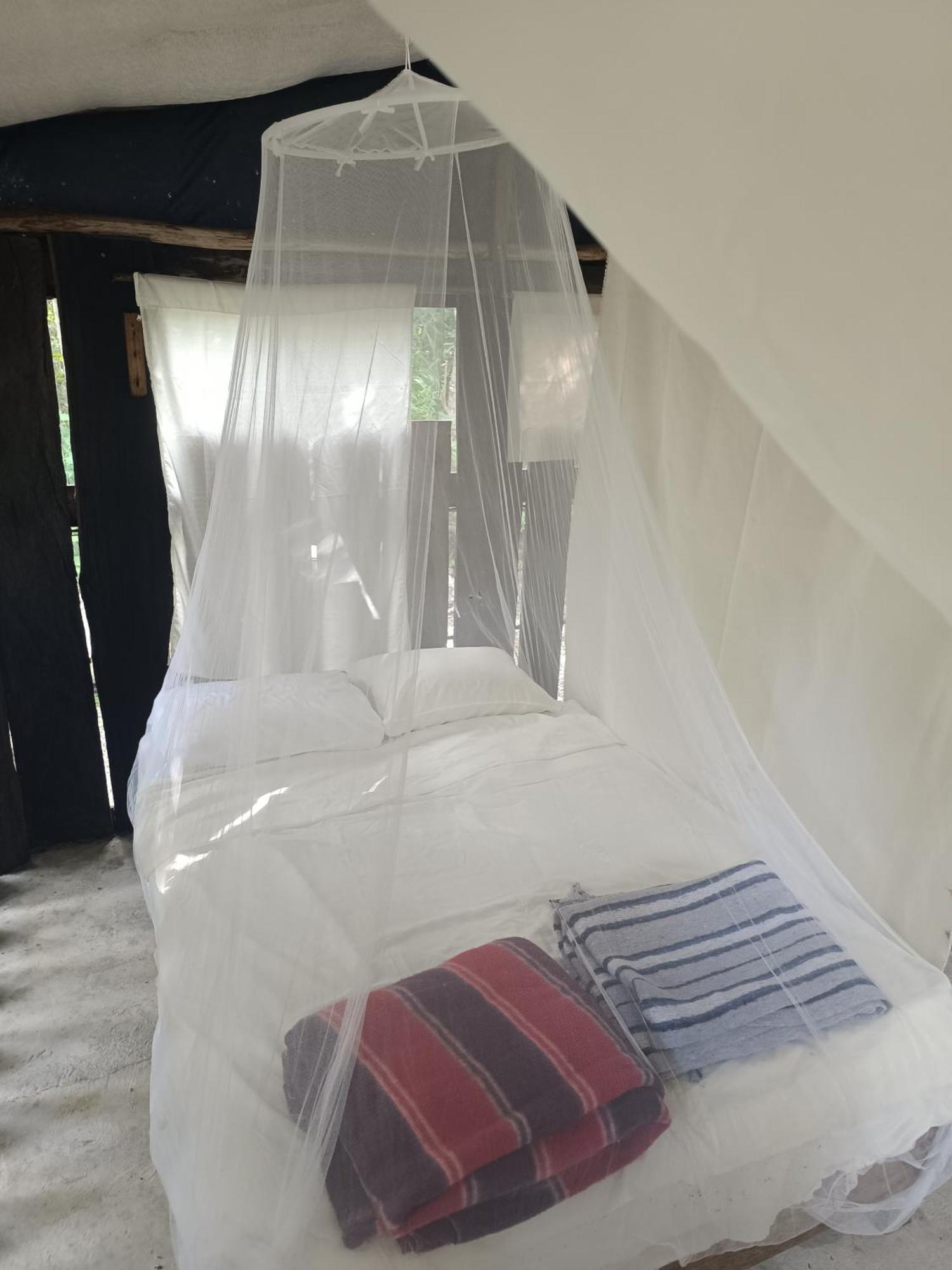 Zapote En Rancho Jaguares Jungle Retreat Campsite