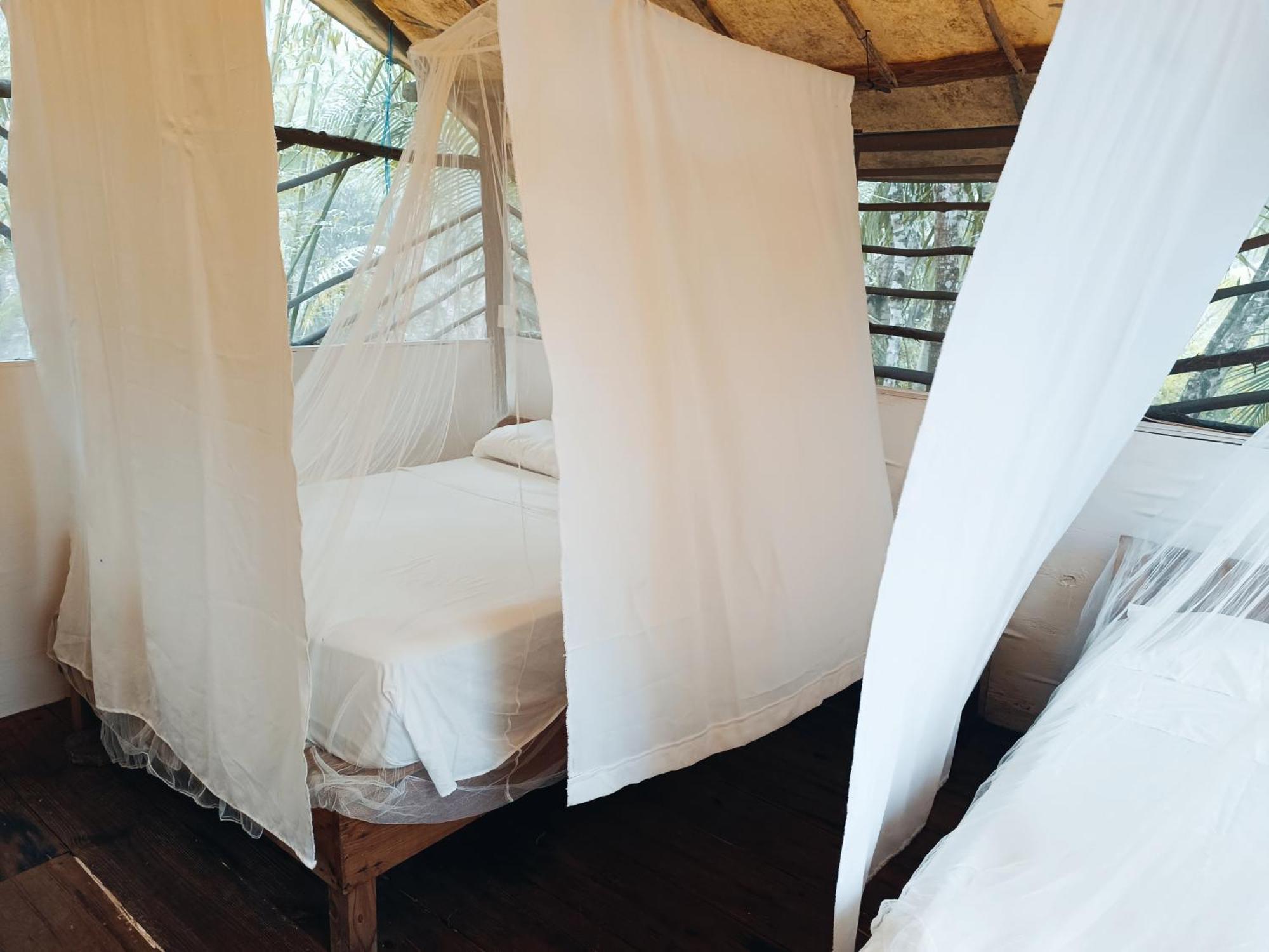 Campsite Zapote En Rancho Jaguares Jungle Retreat *