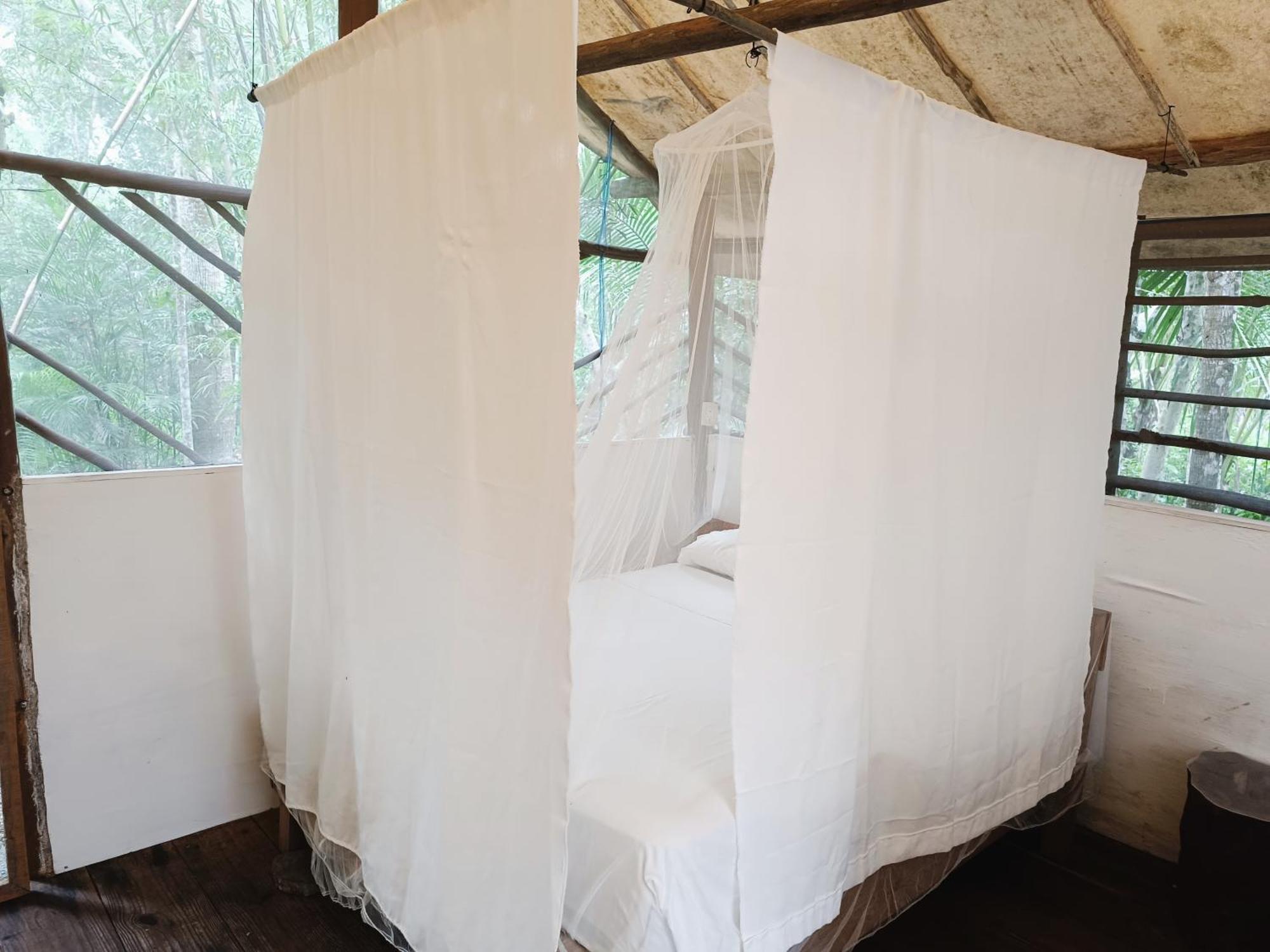 Zapote En Rancho Jaguares Jungle Retreat *