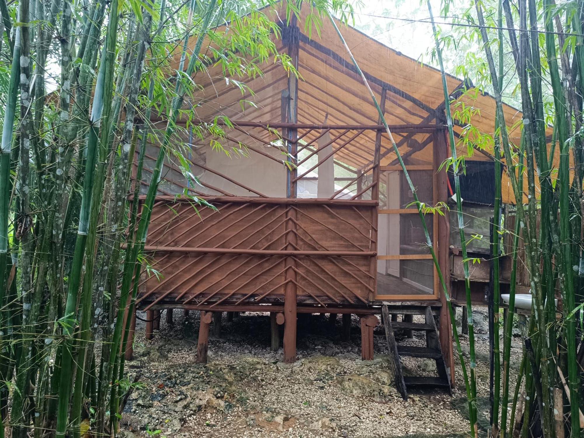 Campsite Zapote En Rancho Jaguares Jungle Retreat *