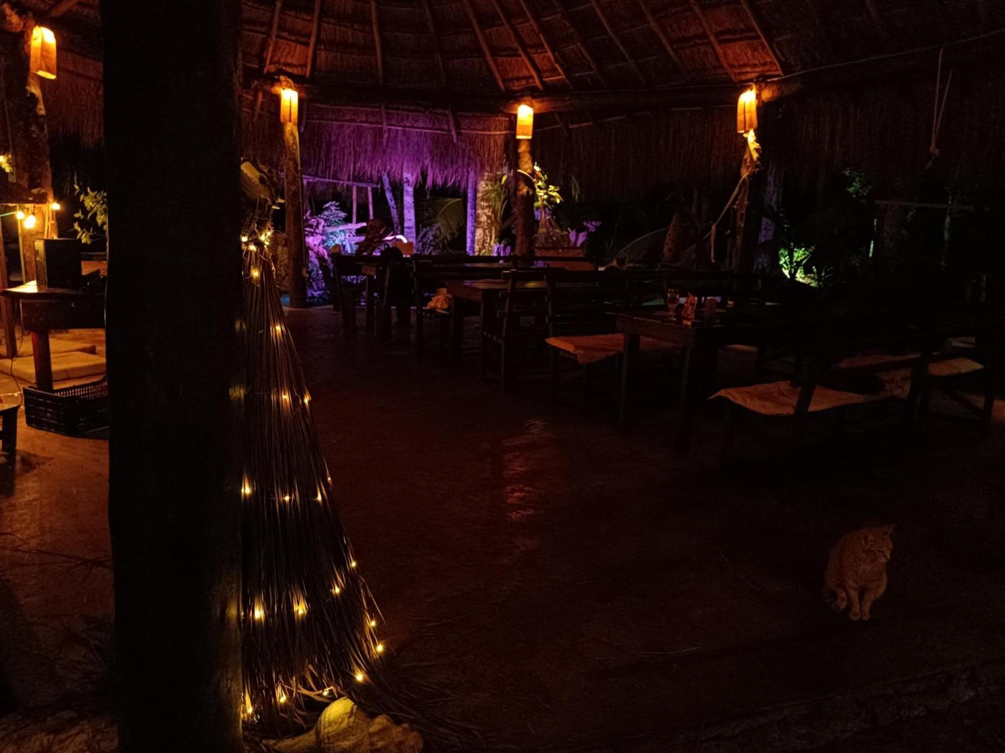 Zapote En Rancho Jaguares Jungle Retreat * Tulum