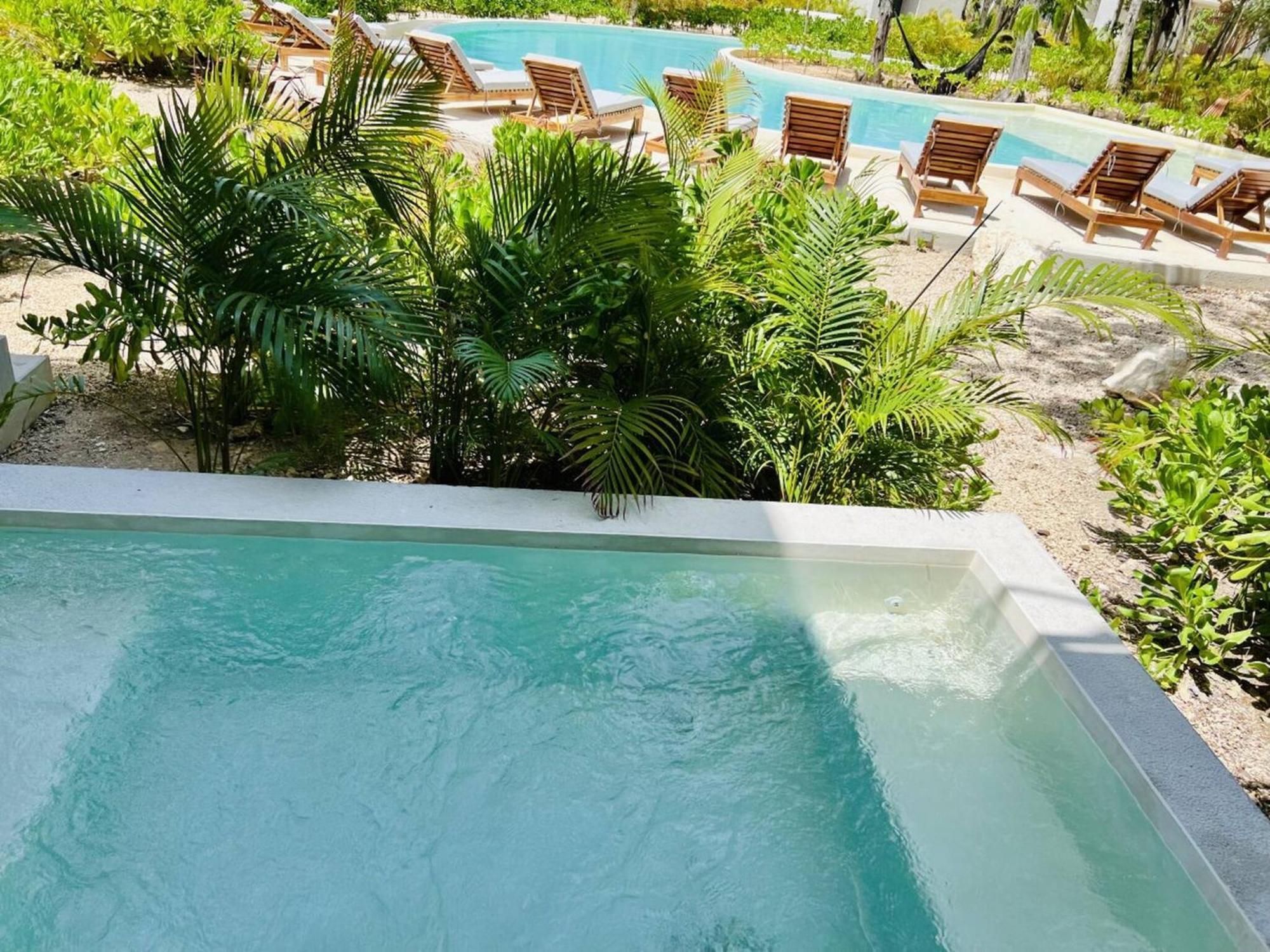 204 Seremonia Selva Private Pool New King Bed Wifi Tulum