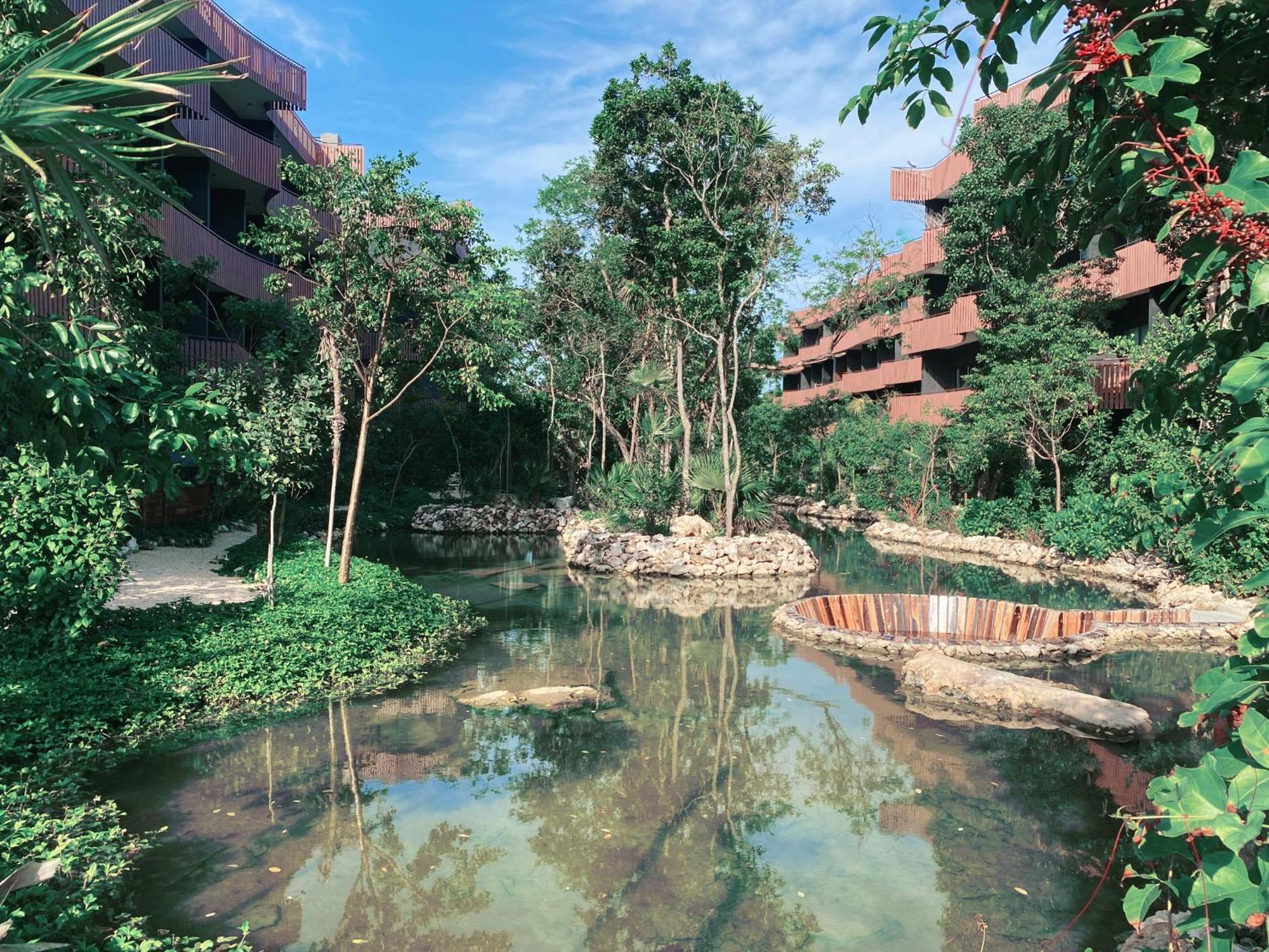 1 Bedroom 1 Mile From Apartment Tulum