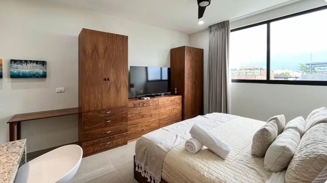 Departamento En Aldea Zama, Apartamento