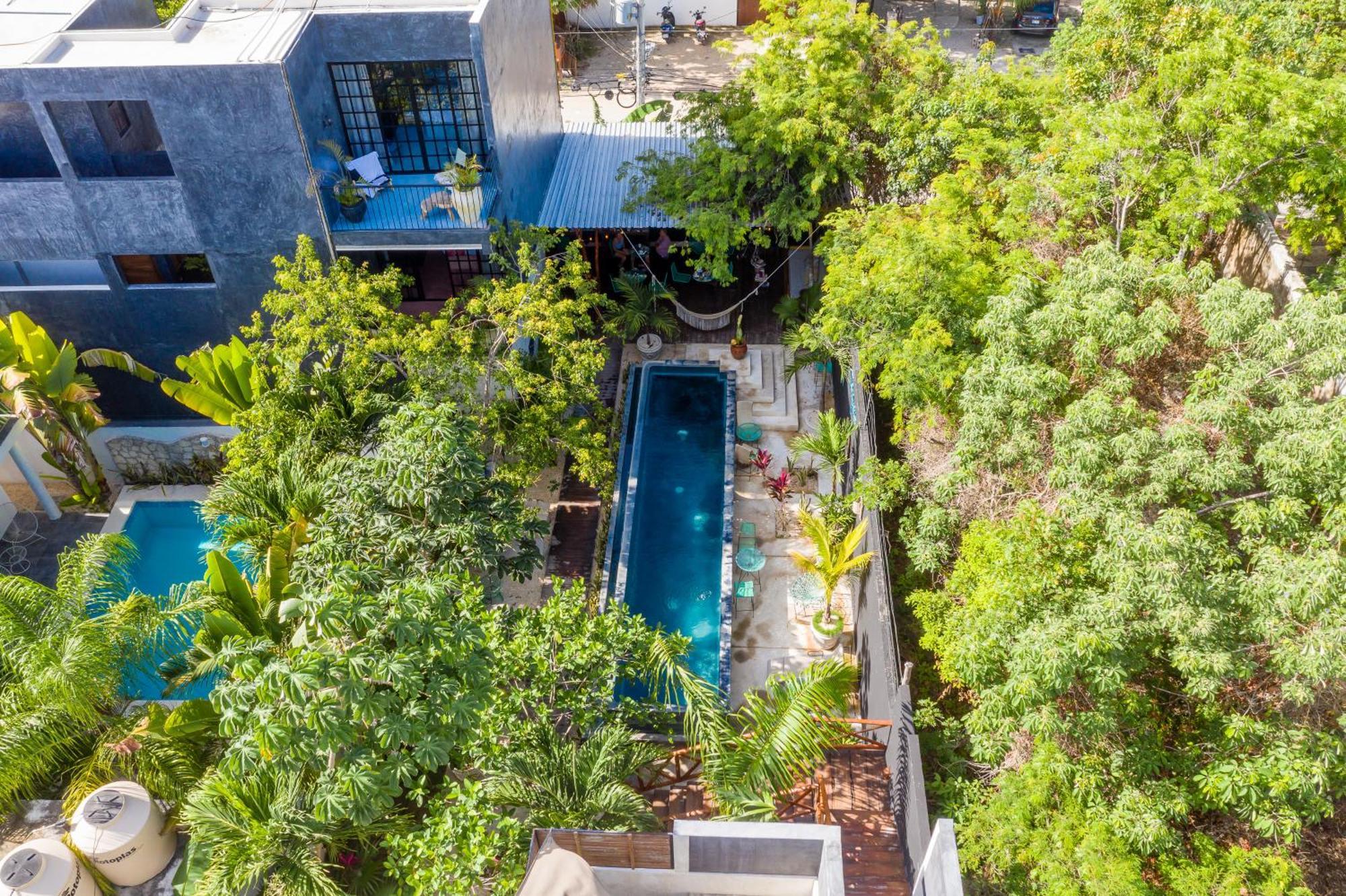 Turquoise (adults Only)