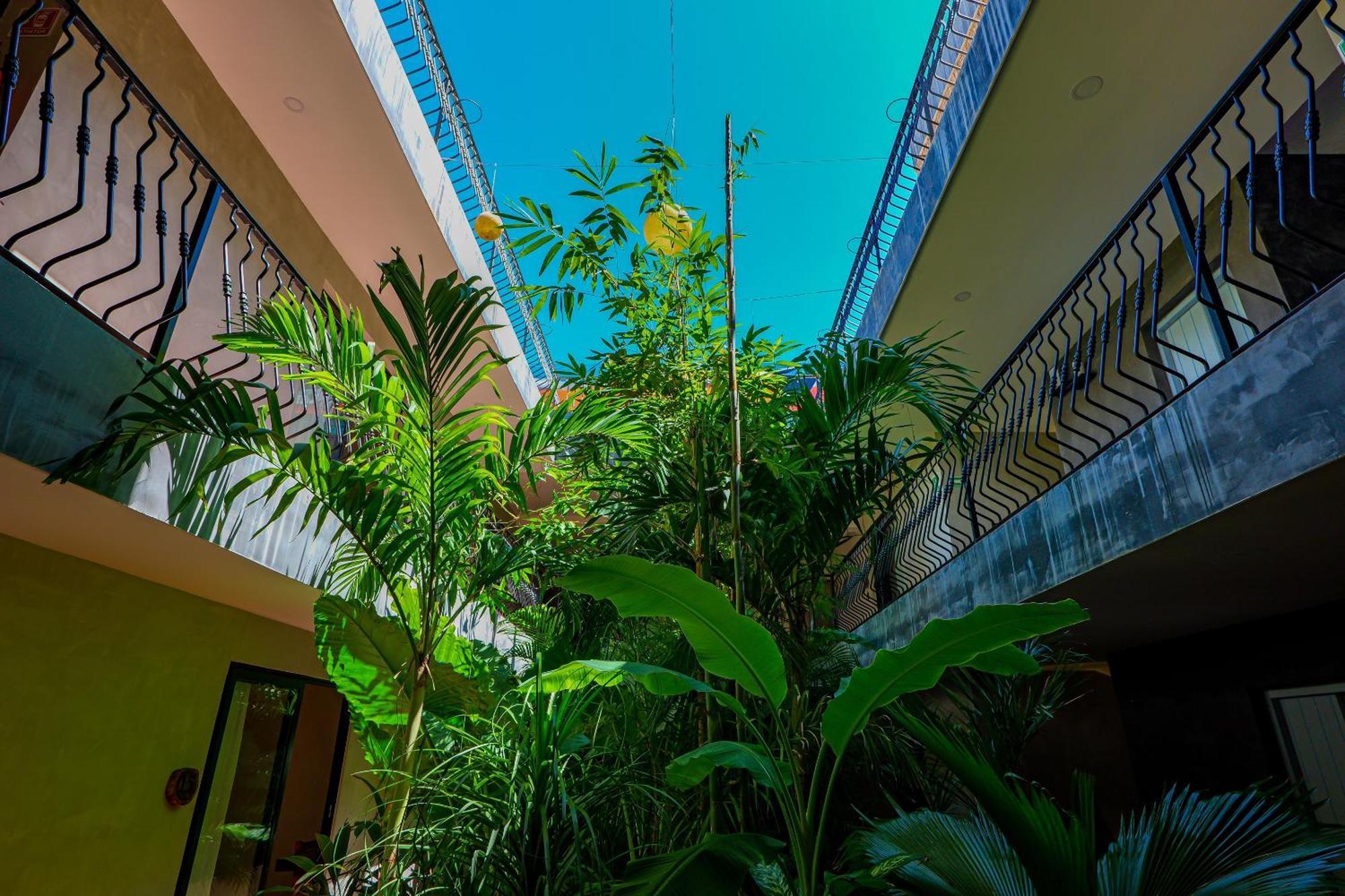 Hotel Calea