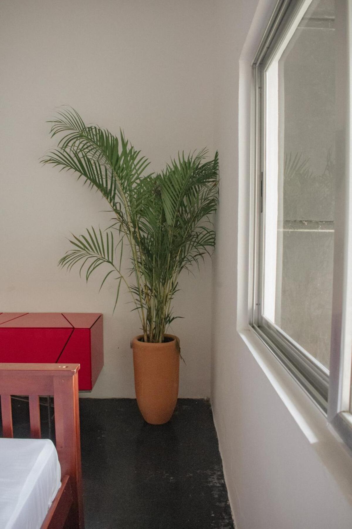 Villa Casa Xul Tulum