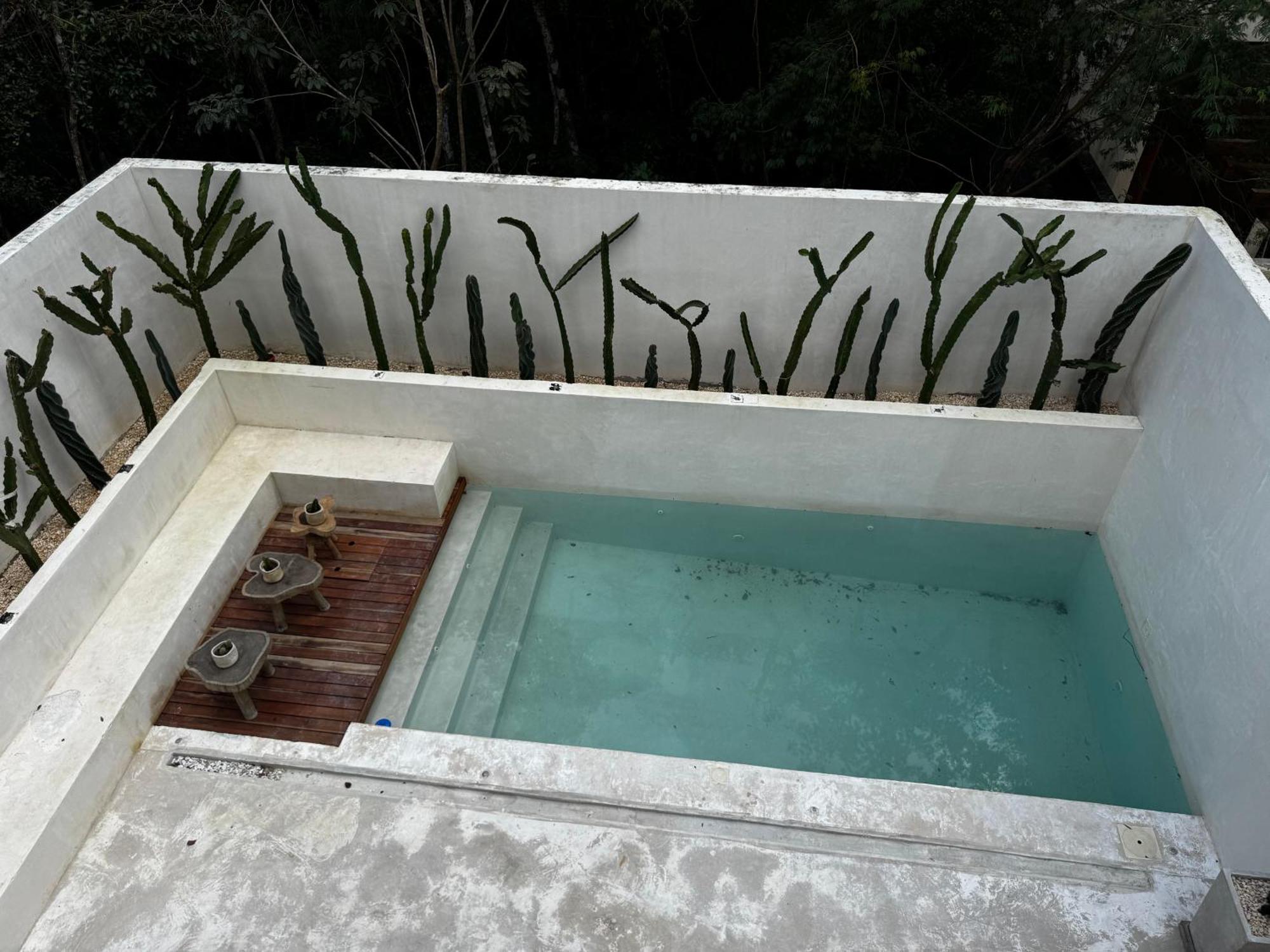 Tulipan Tulum