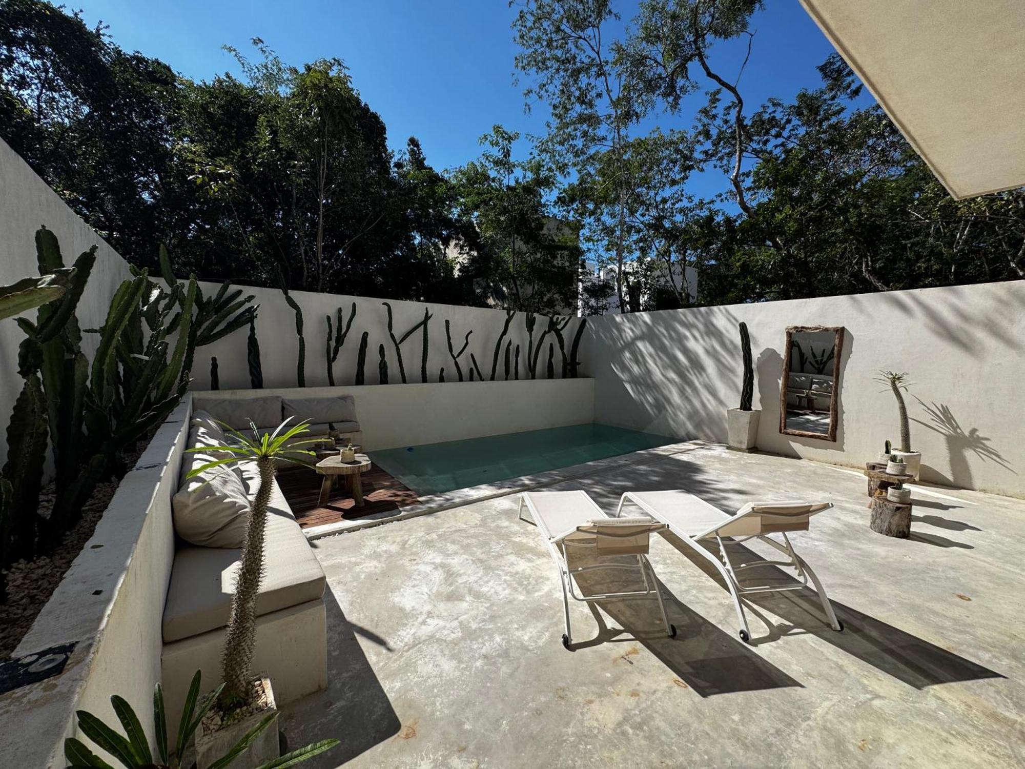 Tulipan Tulum