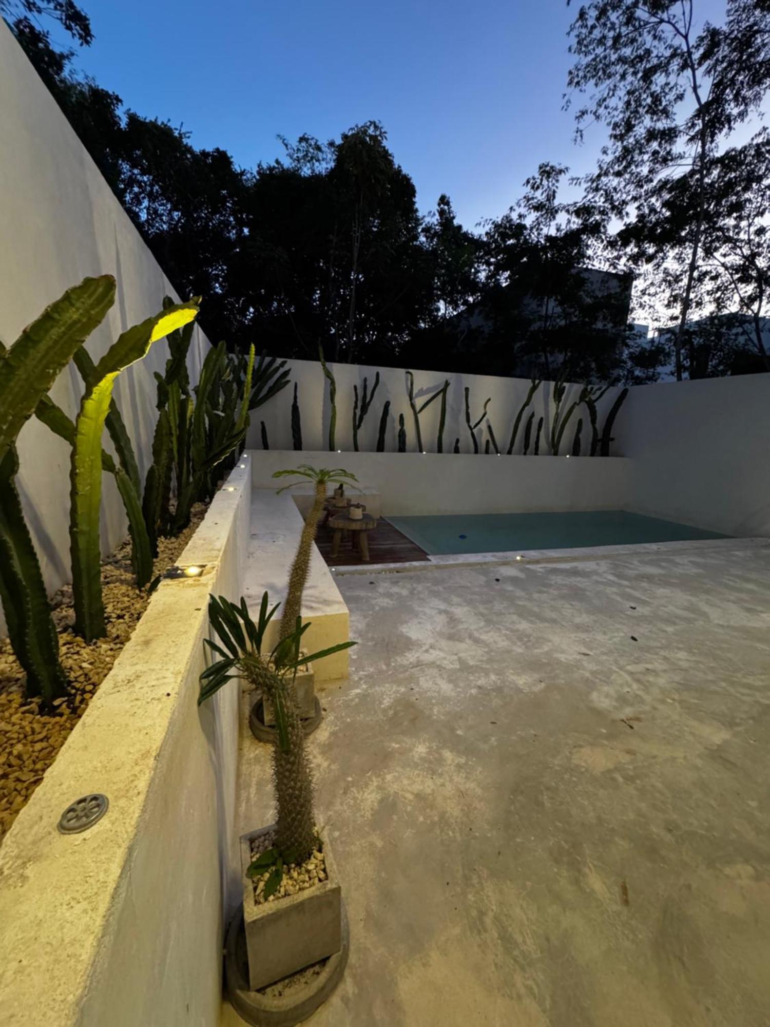 Tulipan Villa