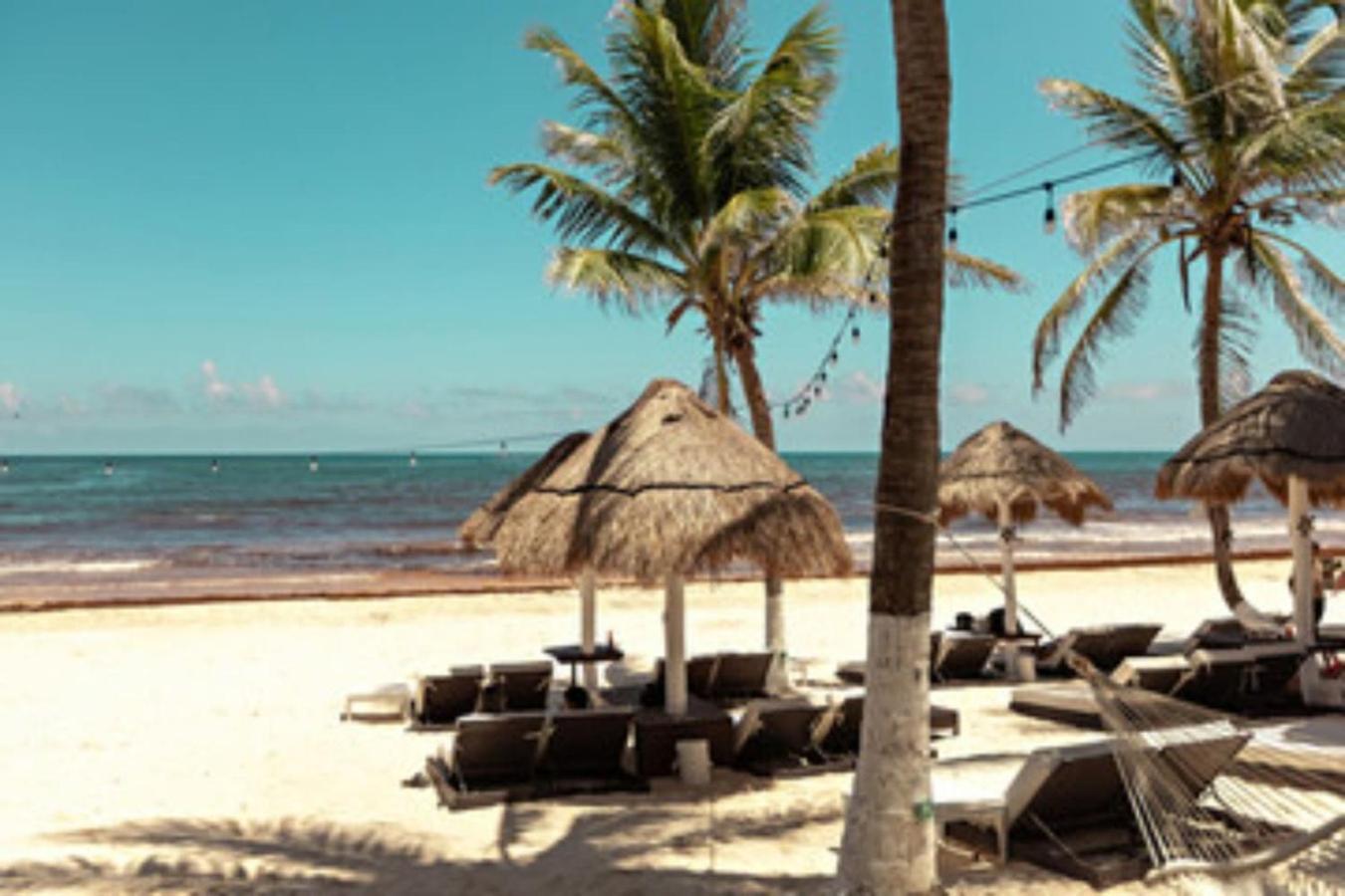 Apartment Your Serenity Tulum-perfect Location-rooftop Pool Tulum