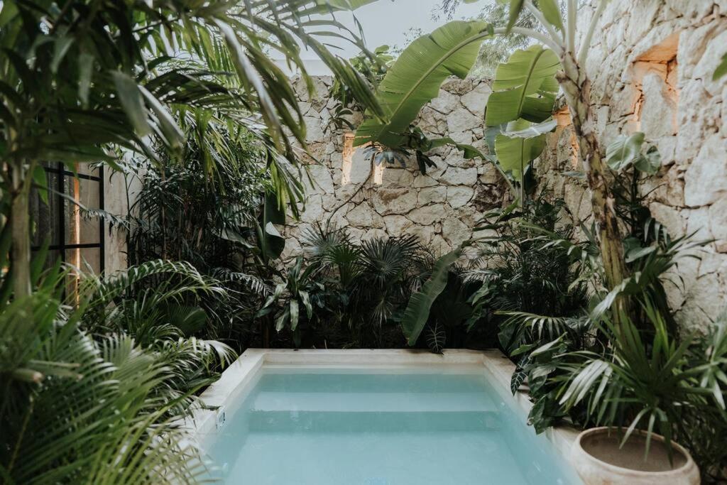 Tropical Design Dream With Private Pool Apartment Tulum