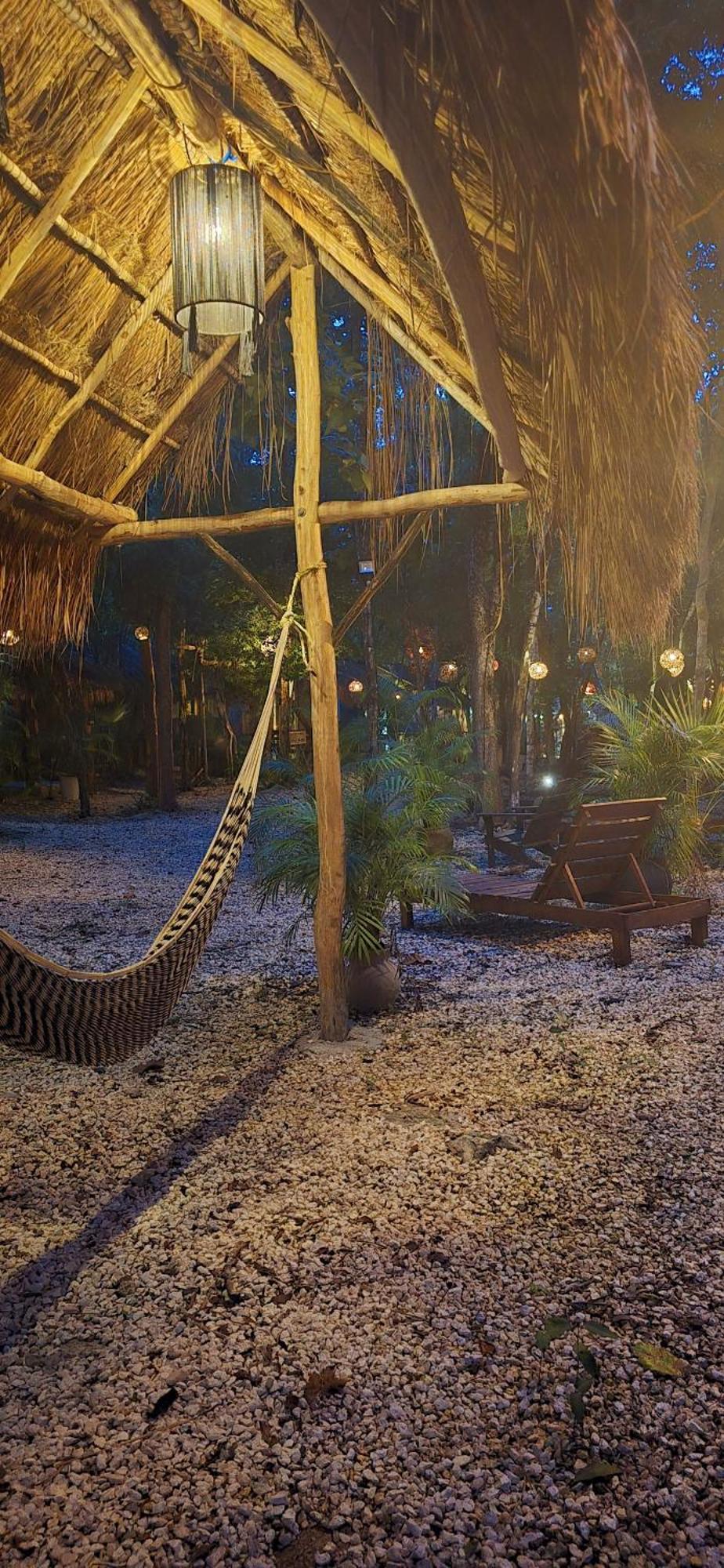 Kin Jungle Deluxe Guest house