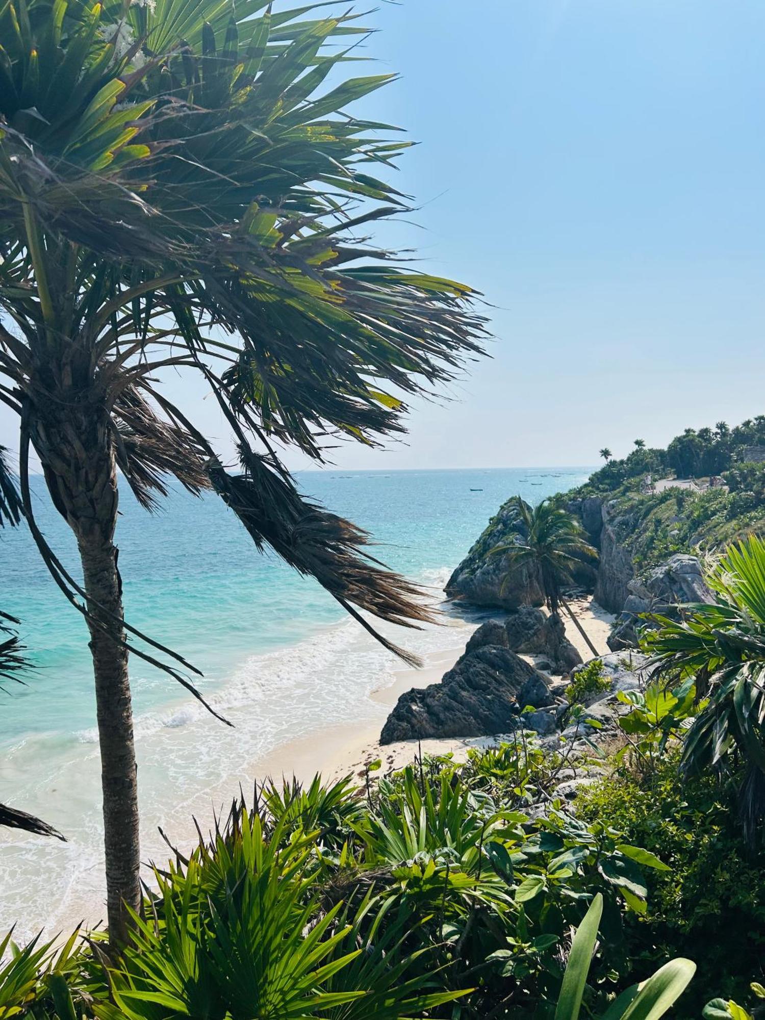 Apartment Your In Tulum