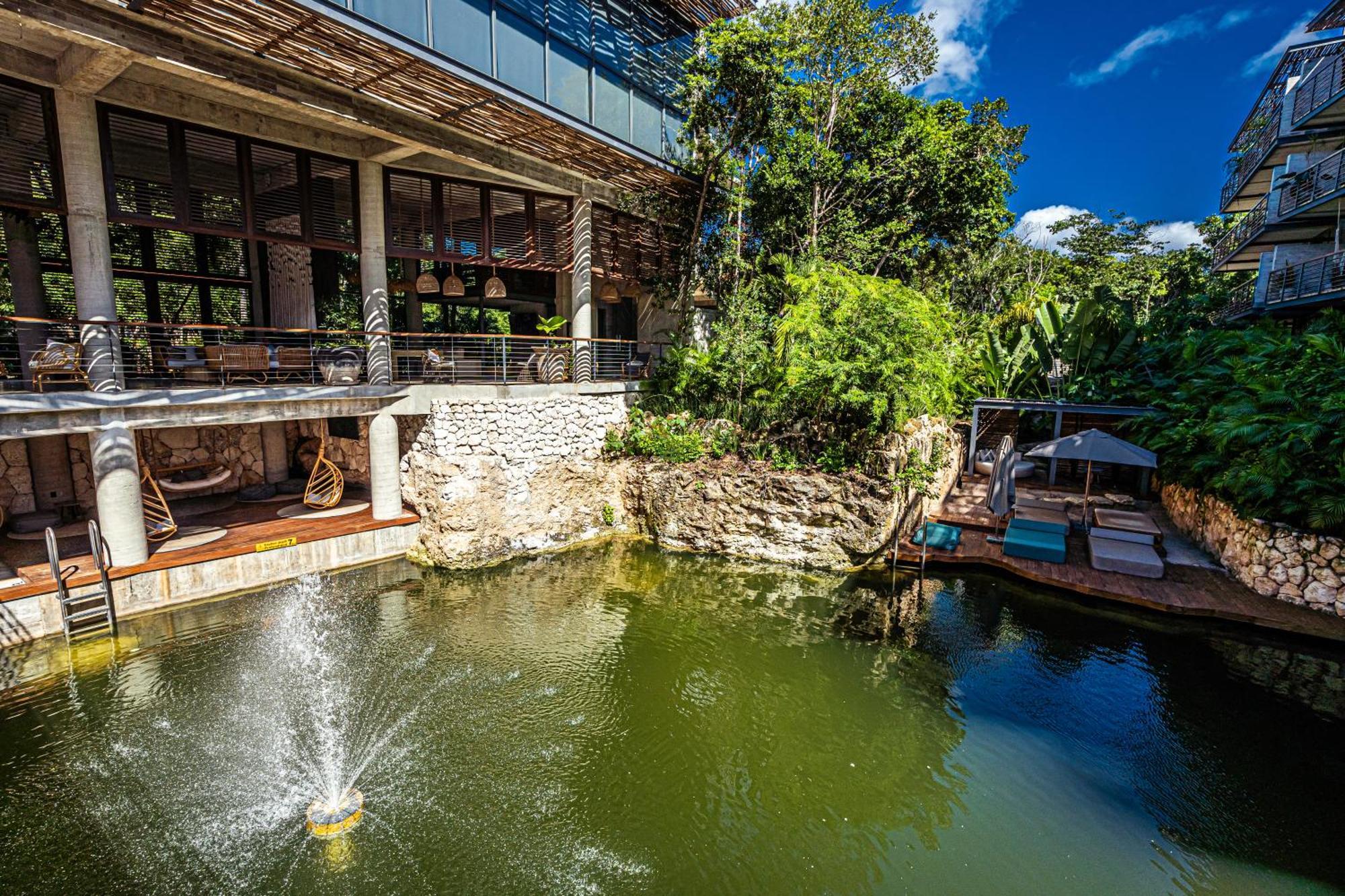Serene Hideaway With Cenotes