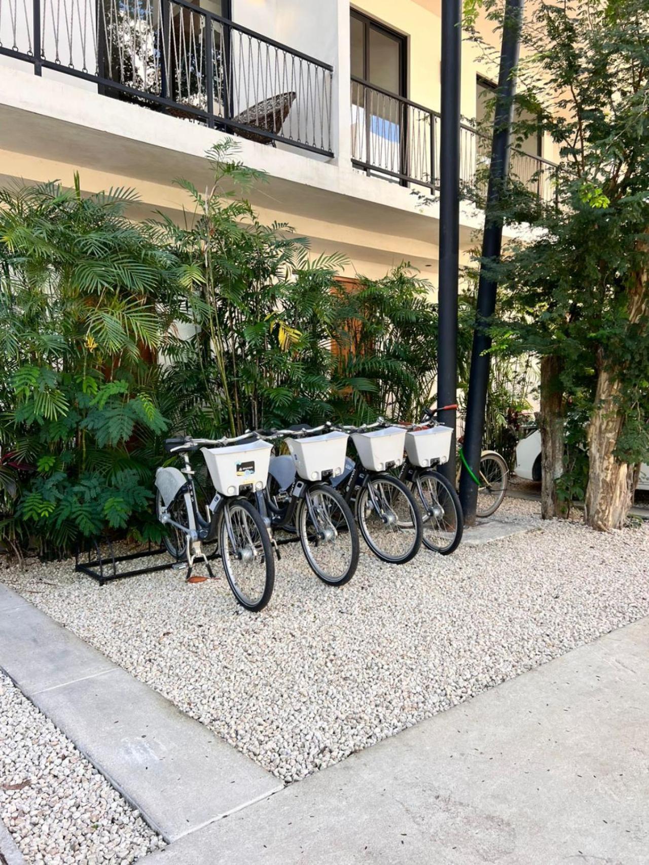 2 Bedroom With Direct Walk-out To Pool, Sauna, And Gym *