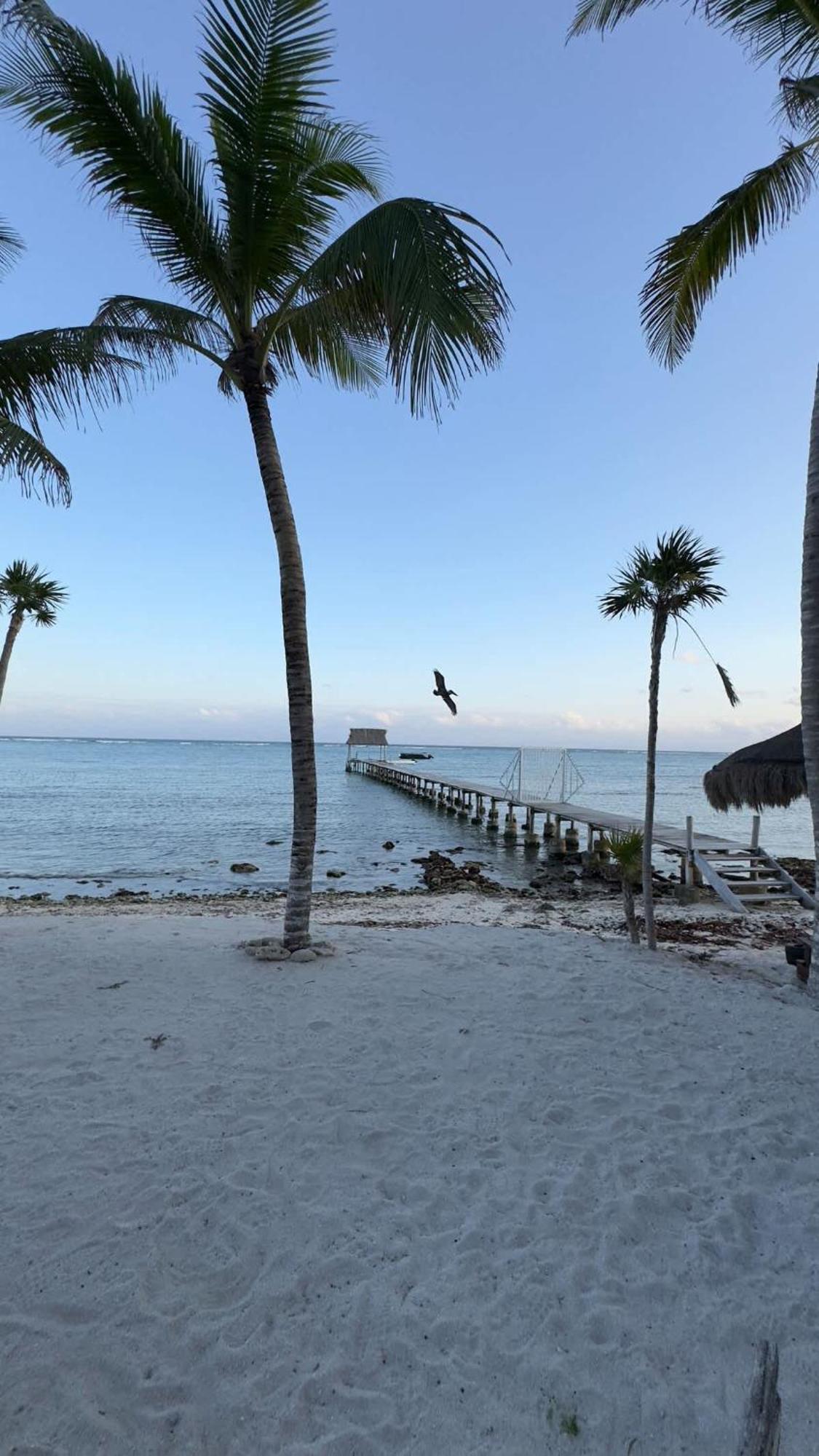 Luxury Oceanfront - Mexico Tulum