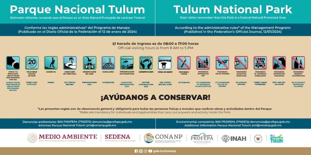 Luxury tent Astral 4*