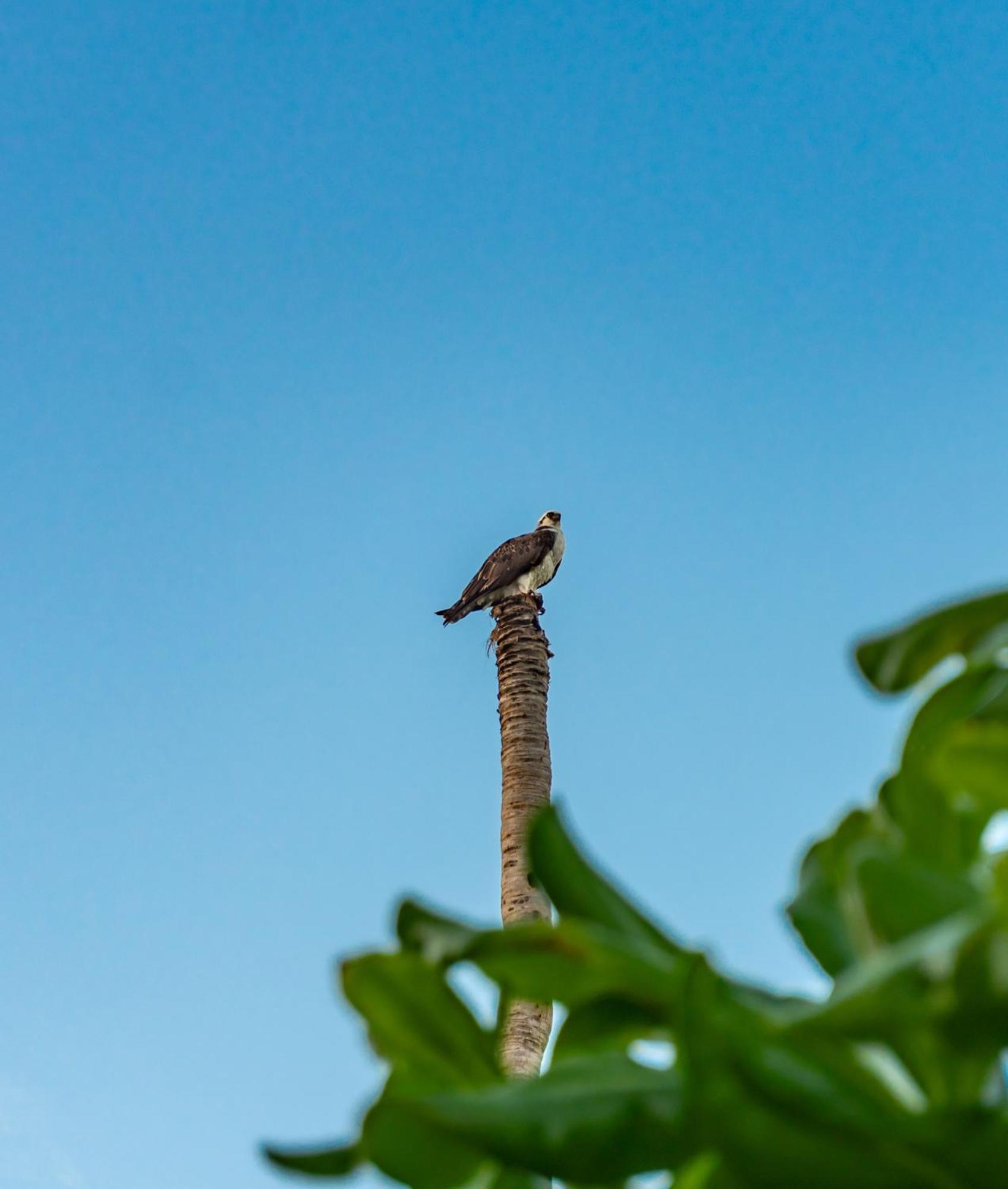 New Modern 1bdr - Access Apartment *