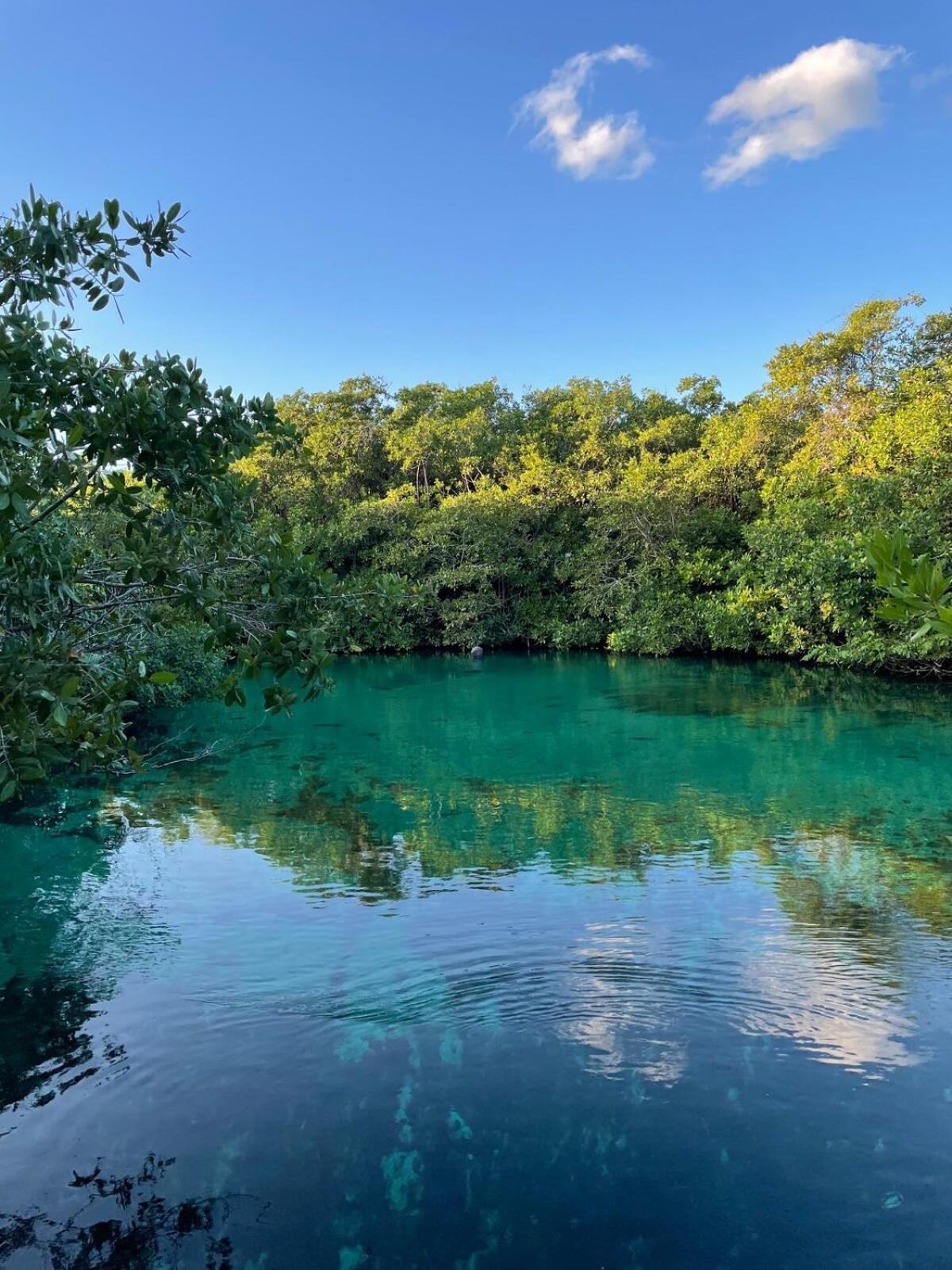 Tankah Bay Jungle With Sea Access 2 Bdr * Tulum