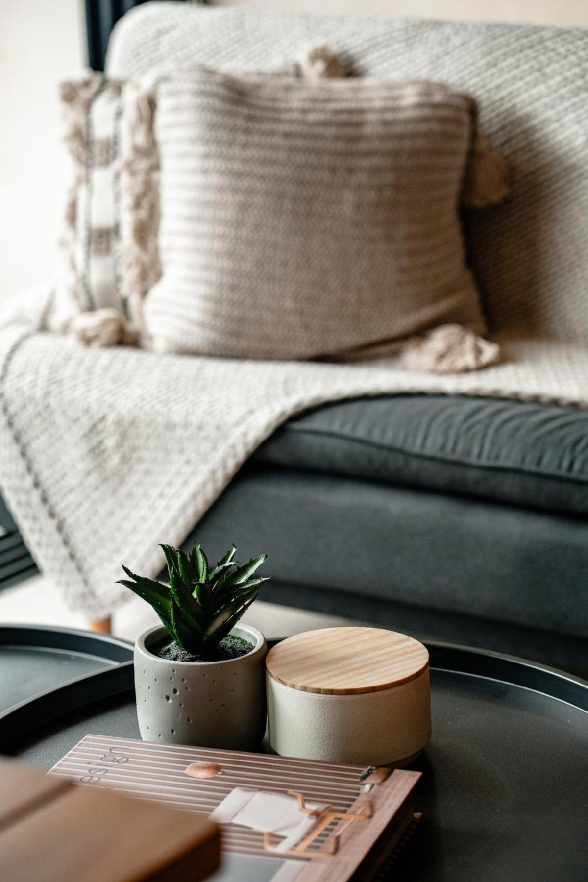 Apartment Tankah Bay Jungle With Sea Access 2 Bdr *