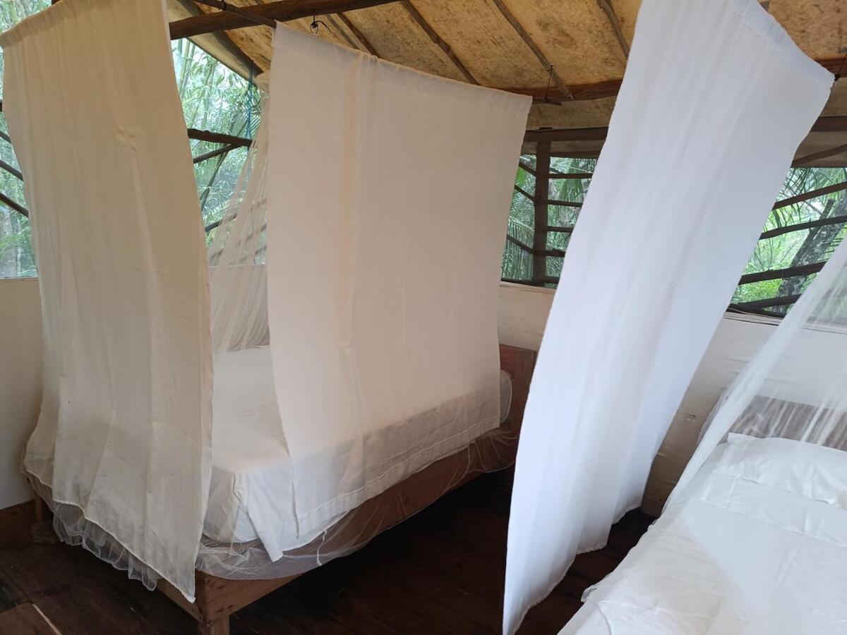 Campsite Zapote En Rancho Jaguares Jungle Retreat *