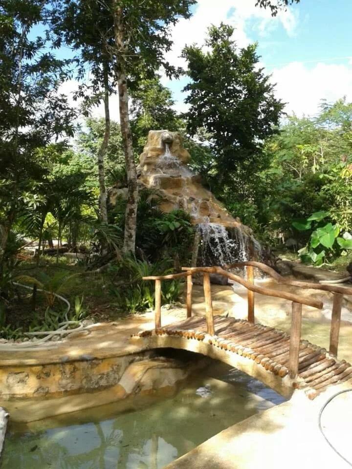 Campsite Zapote En Rancho Jaguares Jungle Retreat *