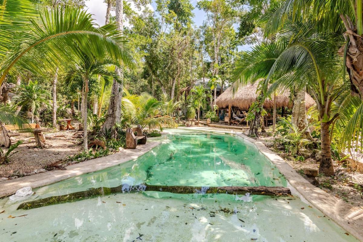 Zapote En Rancho Jaguares Jungle Retreat *